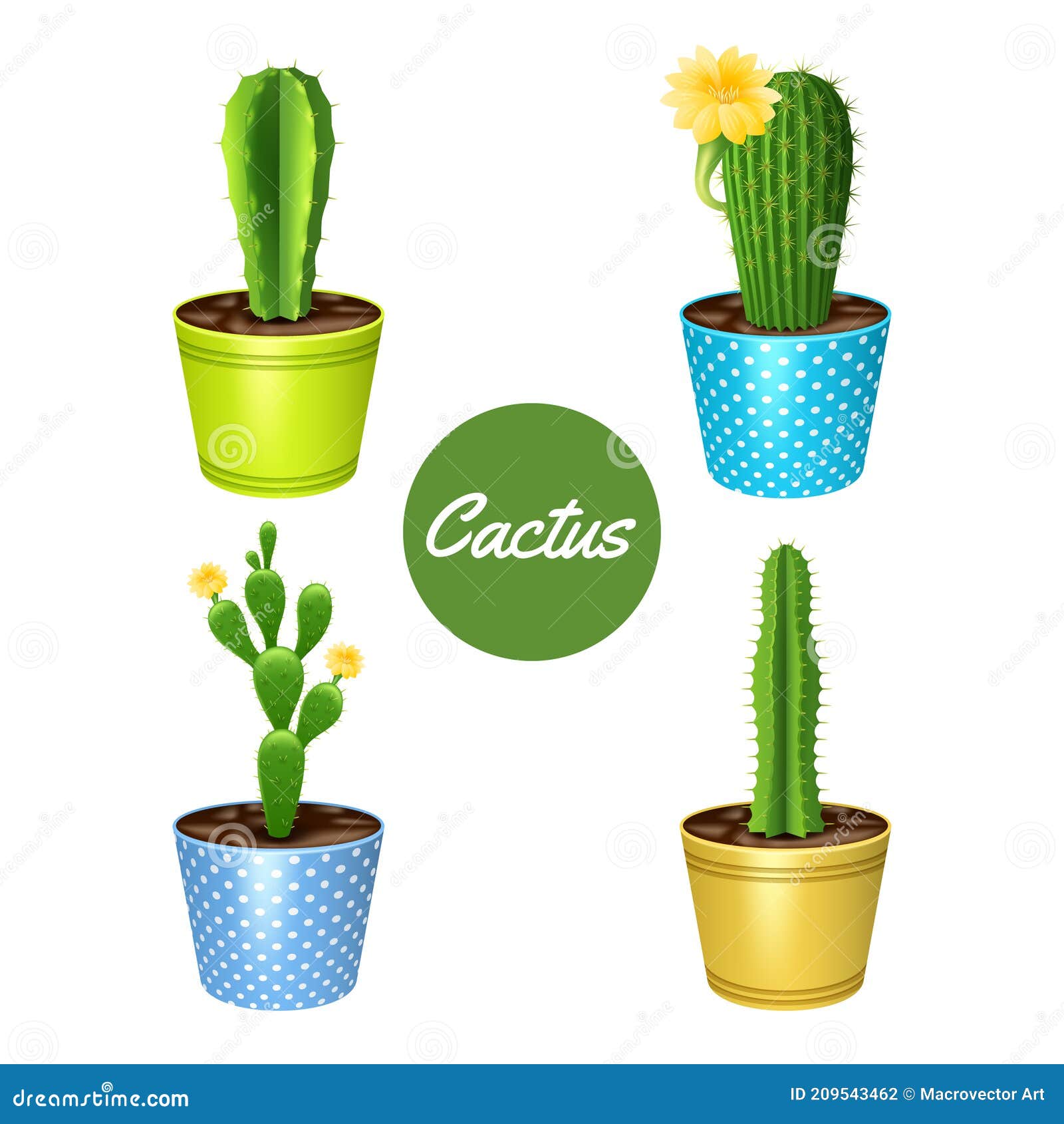 Conjunto de cactos ilustração do vetor. Ilustração de isolado - 212400960