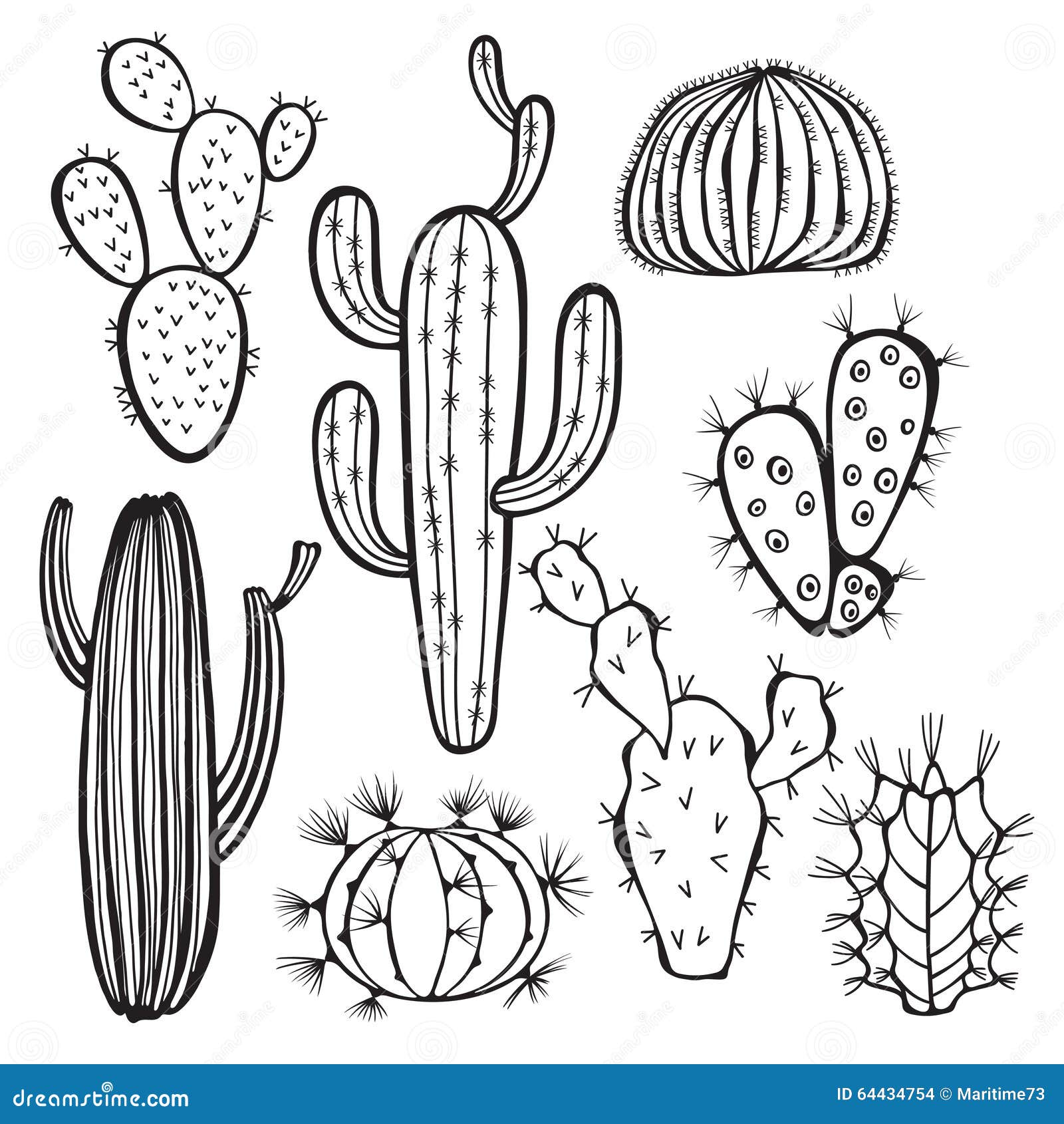 Cacto No Fundo Branco Vetor, Mal Ajustado Tirado Mão Ilustração Stock -  Ilustração de mexicano, méxico: 64434754