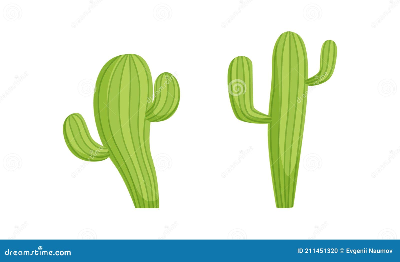 Cactus, Desenho, Saguaro png transparente grátis