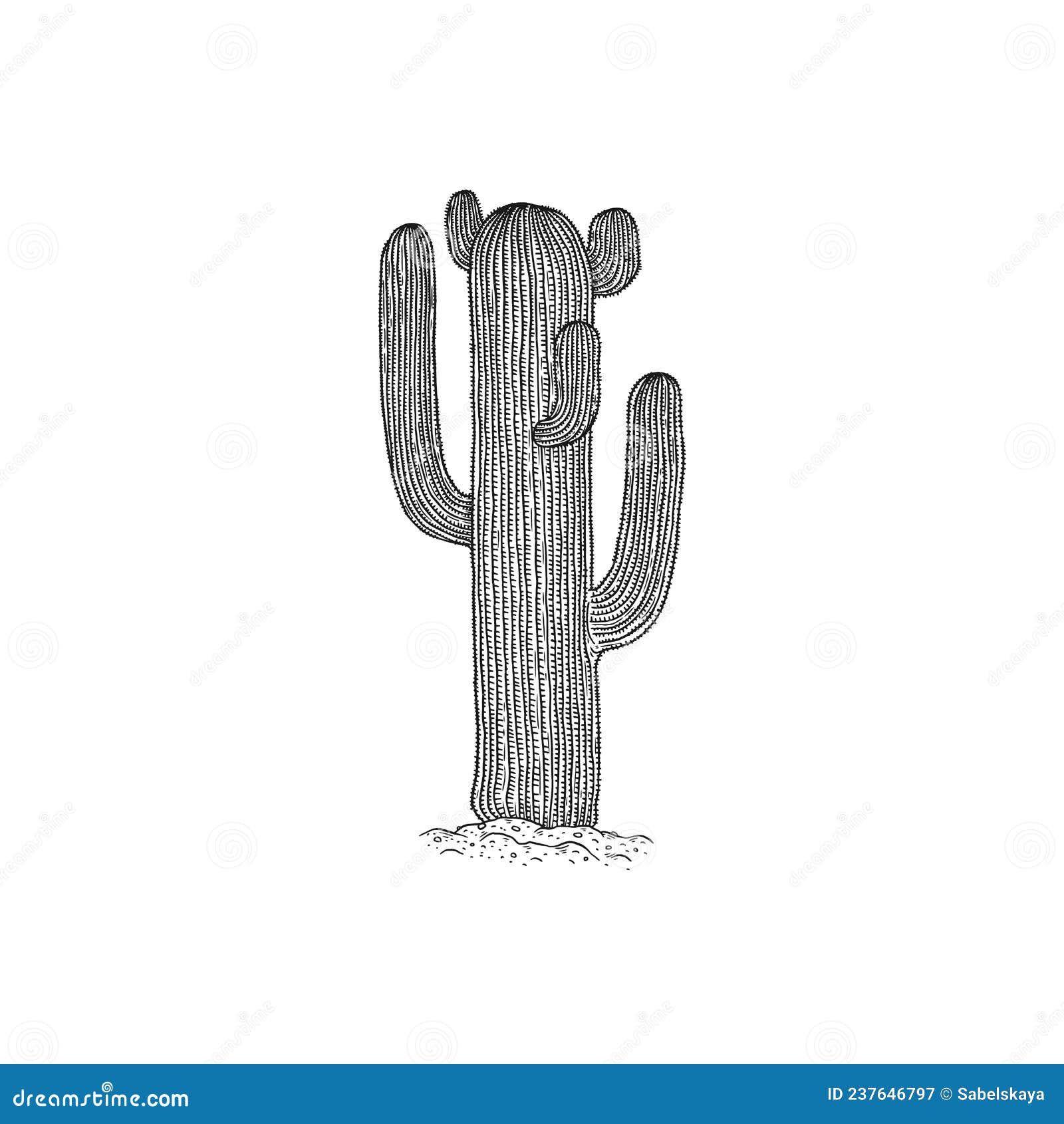 Cacto No Deserto Vector a Ilustração Desenhado à Mão Do Estilo Dos
