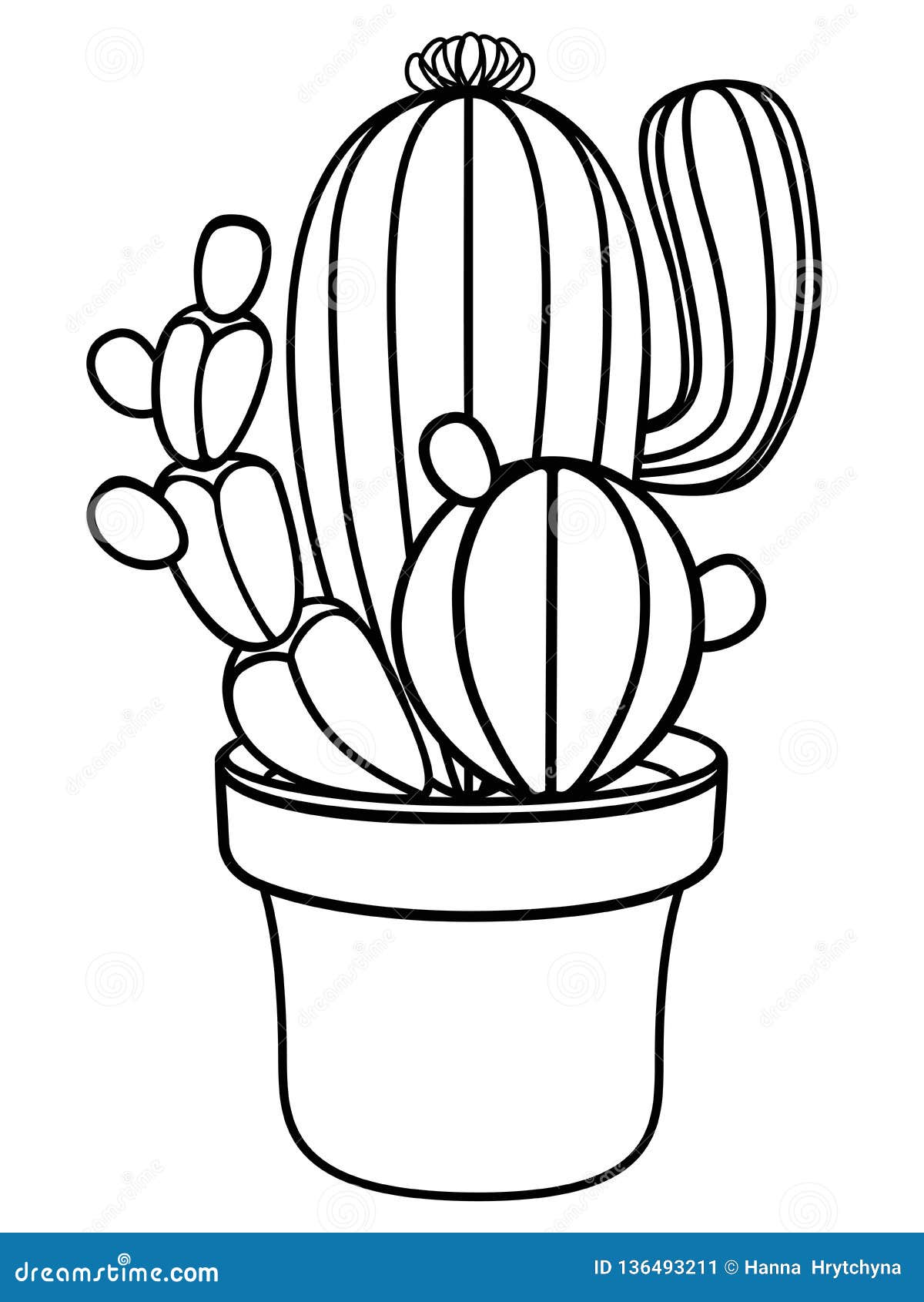 Desenho de Flores de cacto para Colorir - Colorir.com