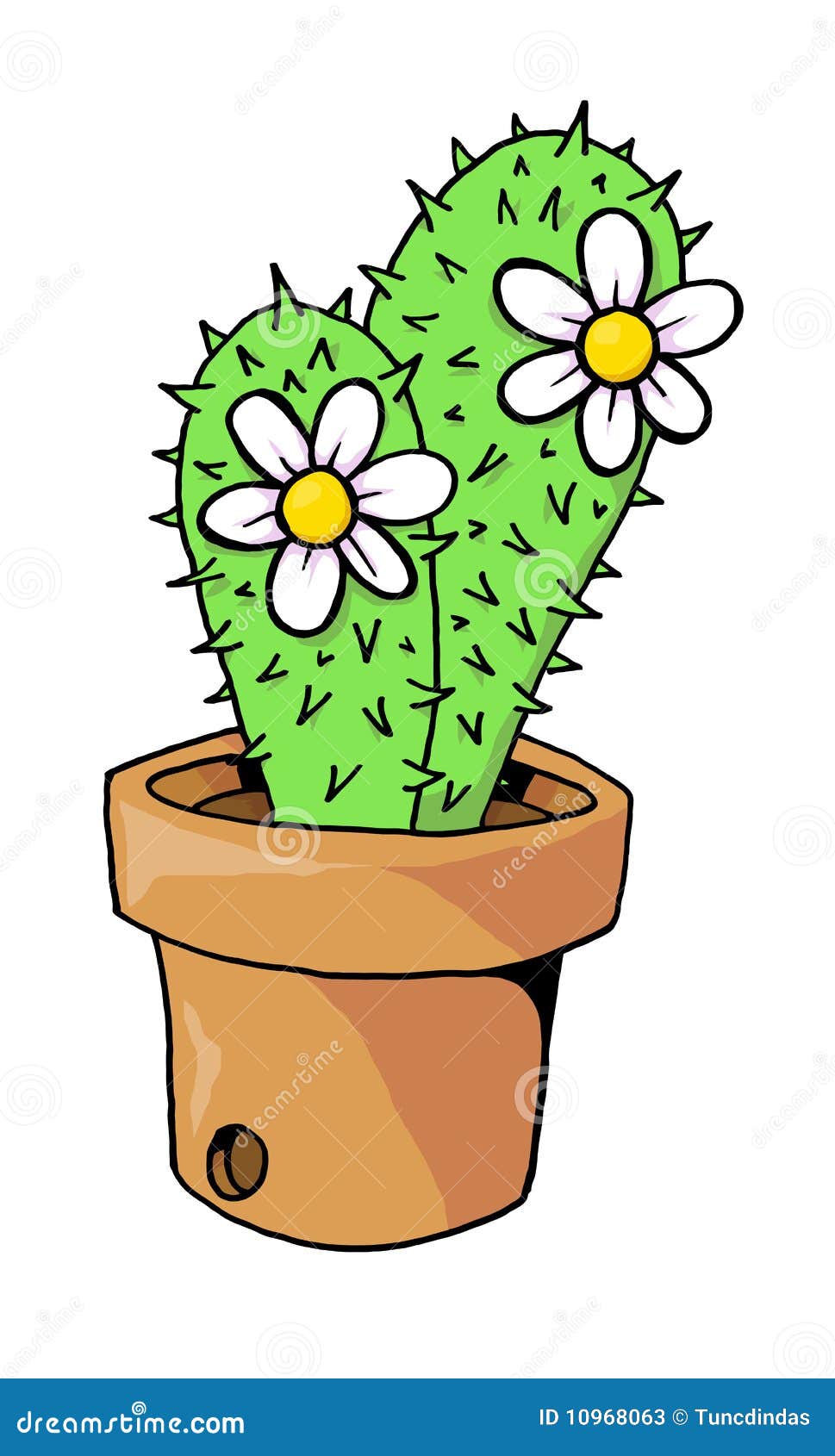 Cactus stock vector. Illustration of desert, flowers - 10968063