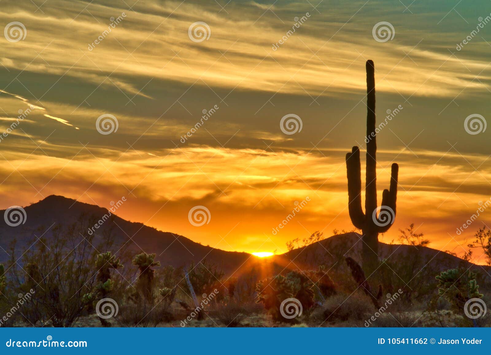 Cactus Against a Sunset Behind Mountains Stock Photo - Image of saguaro ...