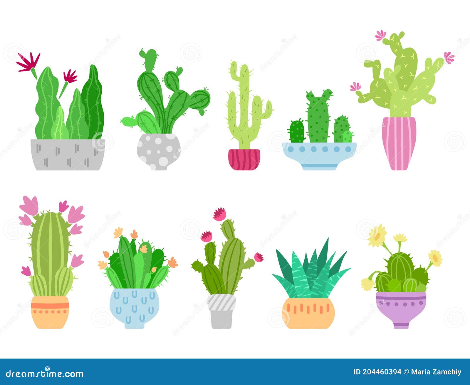 Cartoon Cactus Potted Plant Plant Cactus PNG , Cacto Clipart