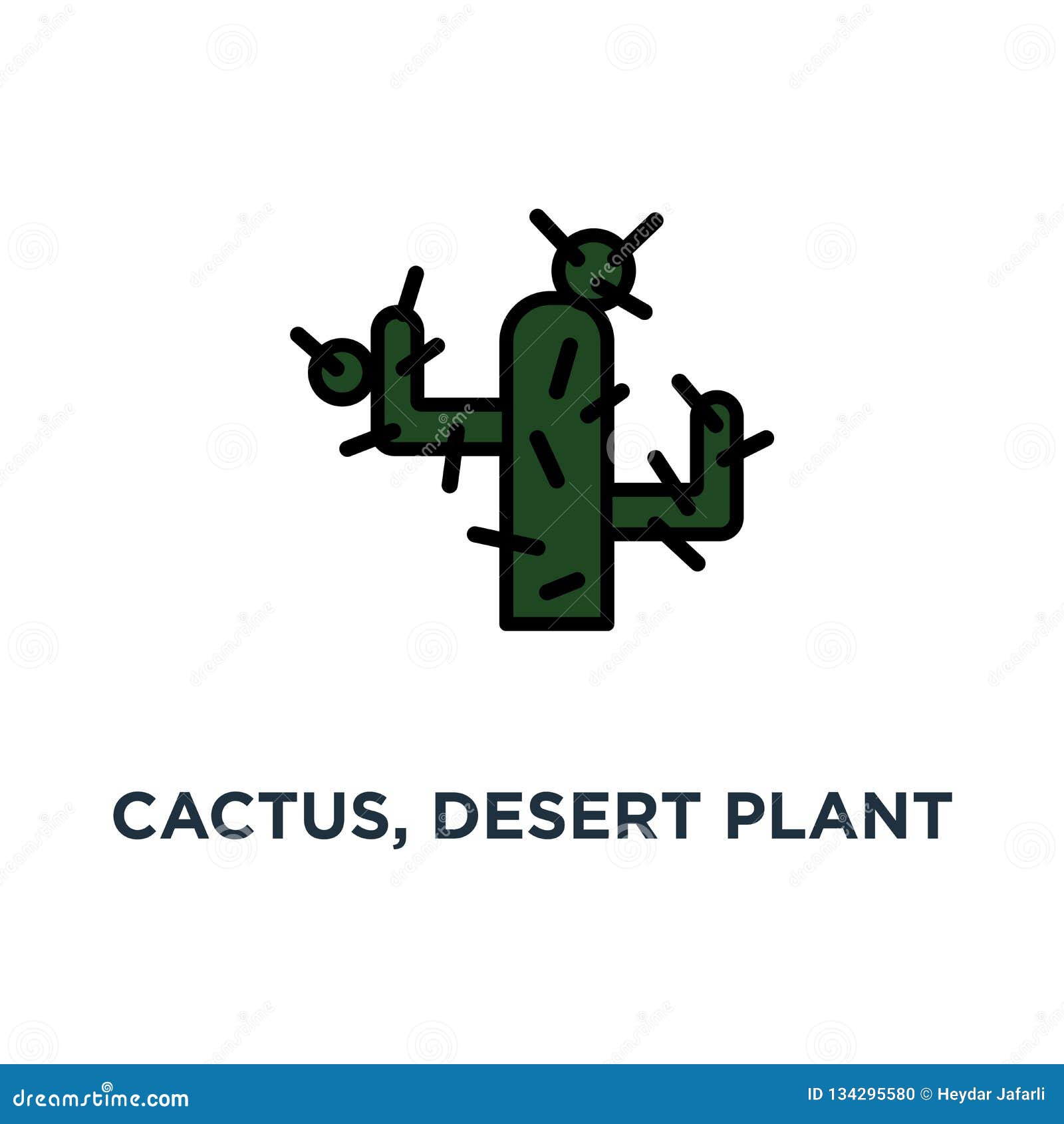 cactus, desert plant icon. linear simple  . s