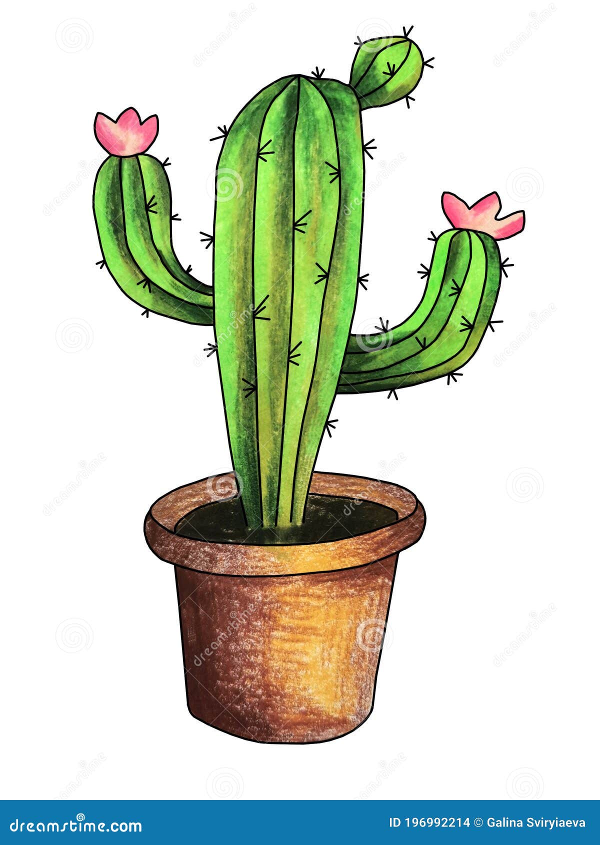 Cactus En Ollas Set Manual Ilustración De Dibujo Stock de ilustración -  Ilustración de plantas, color: 196992214