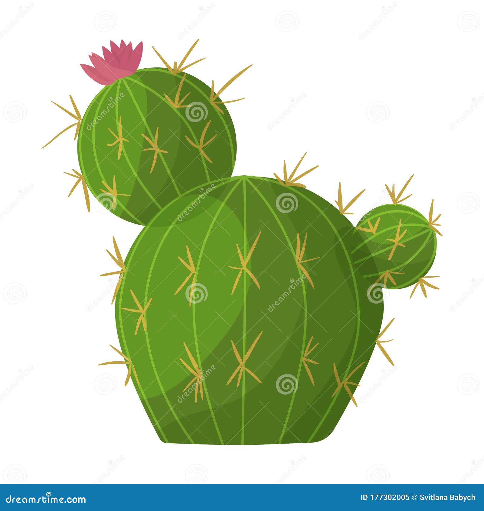 Cactus of Flower Vector  Vector Icon Isolated on White  Background Cactus of Flower. Stock Vector - Illustration of america,  botanic: 177302005