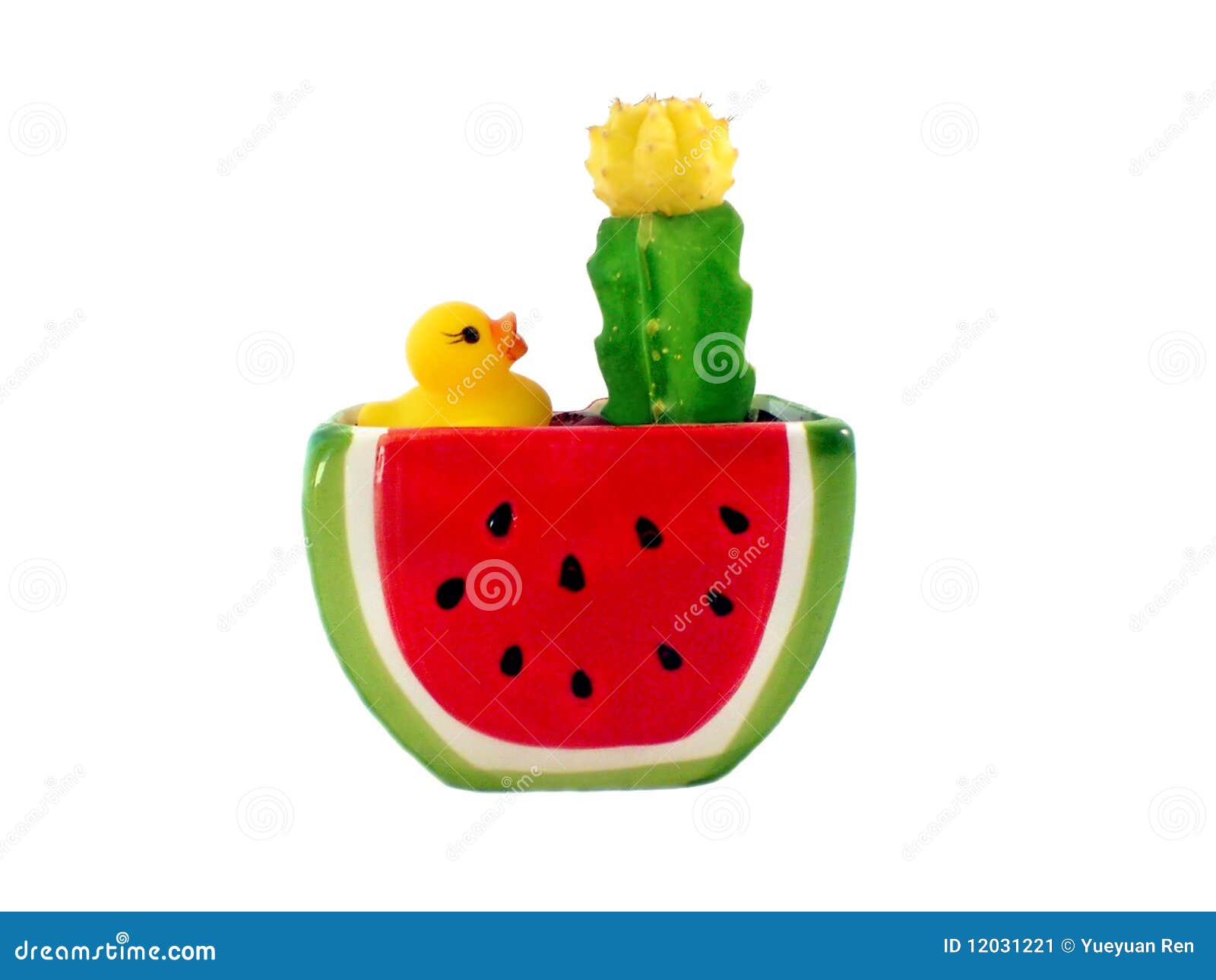 Cactus Flowerpot of Watermelon Shape with a Yellow Stock Image Image