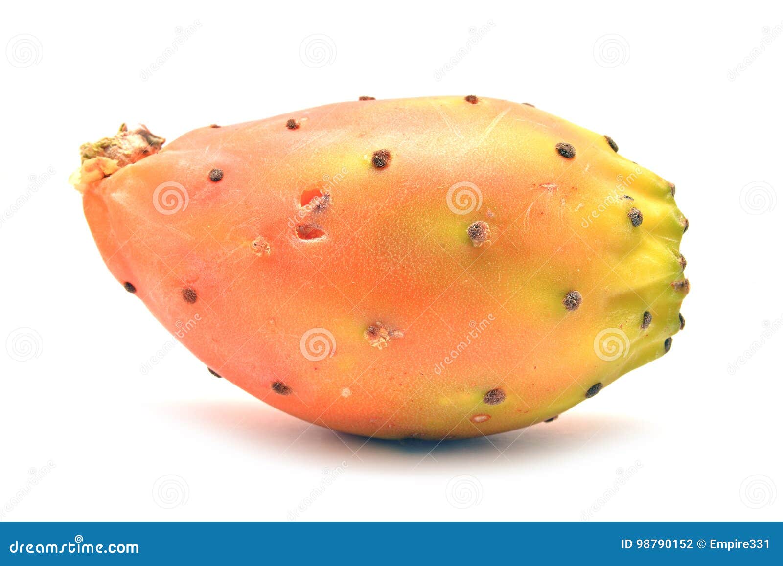Cactus fruit stock photo. Image of ripe, fruit, exotic 98790152
