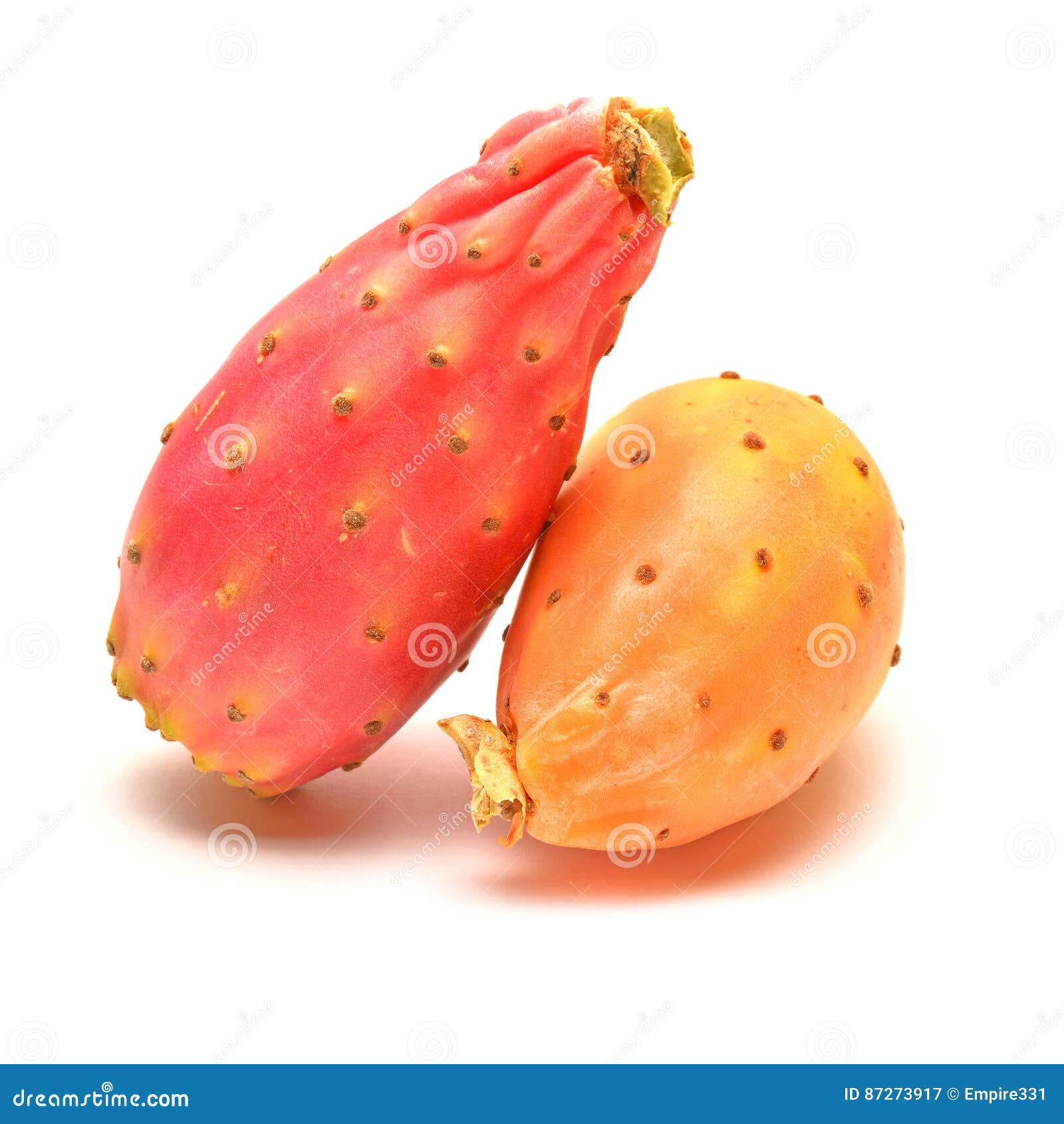 Cactus fruit stock image. Image of white, ripe, plant 87273917