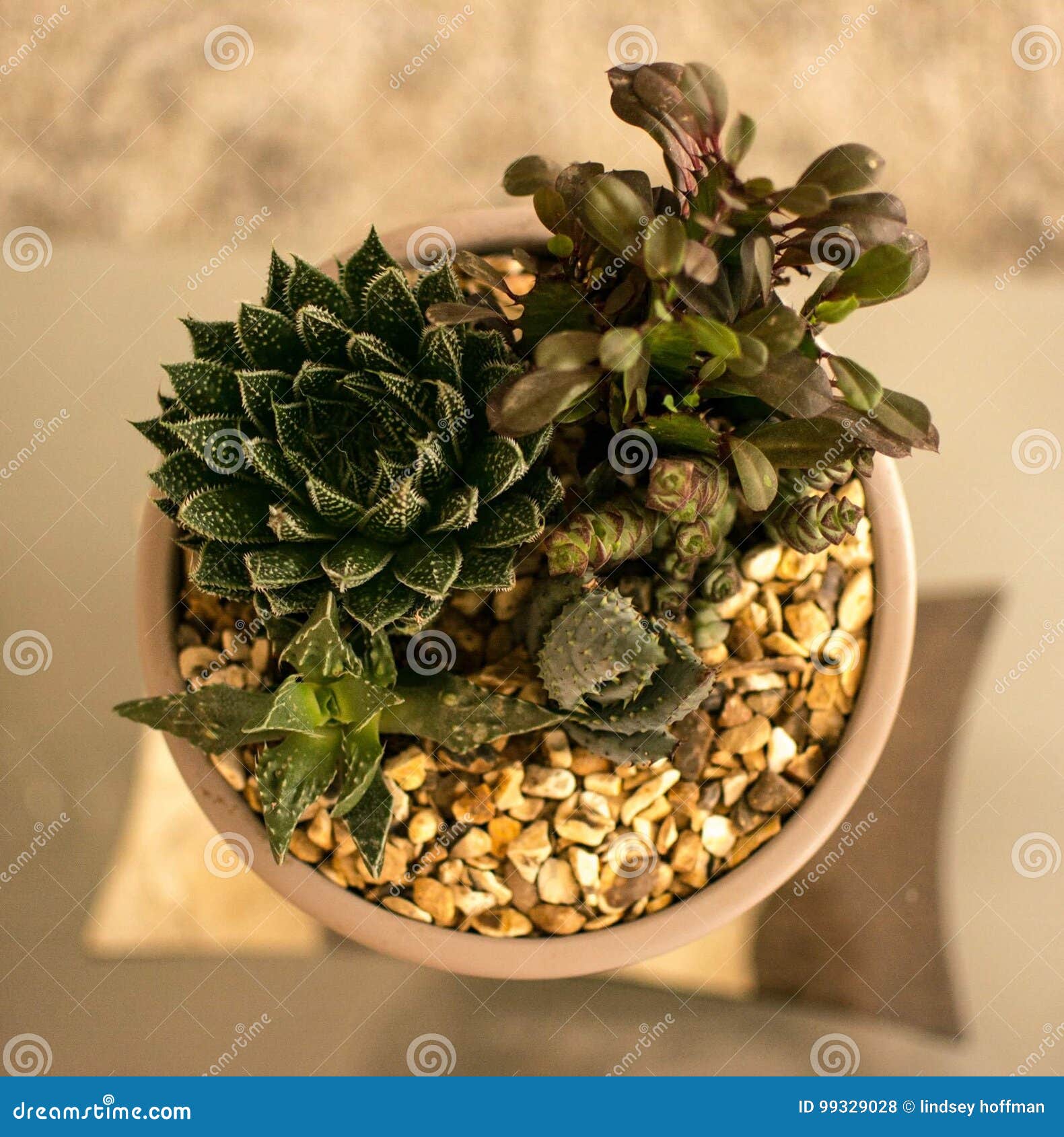 Aldi Stones Stock Photos Free & RoyaltyFree Stock Photos from Dreamstime