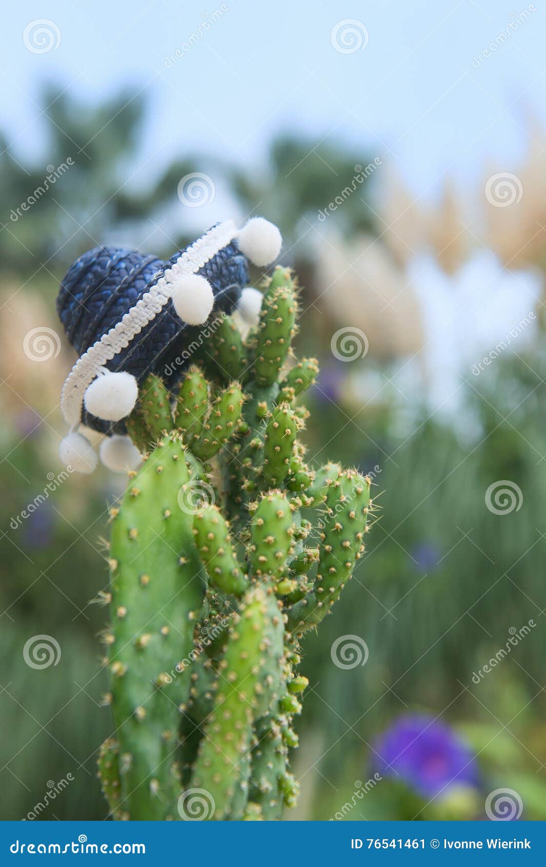 Cactus with hat stock image. Image of travel, cactus - 76541461