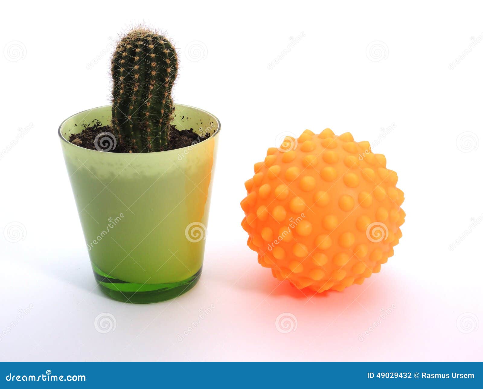 Cactus and Massage Ball Pain and Relief Stock Photo Image of cactus