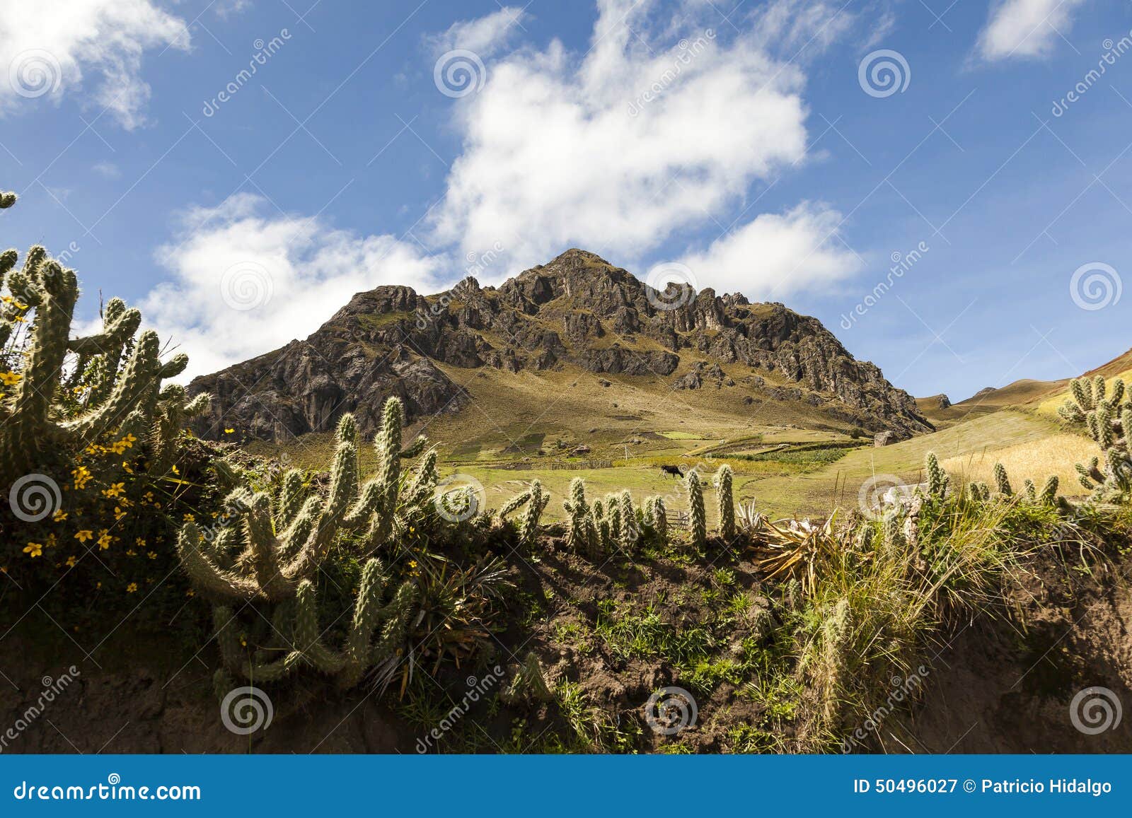 cactus and rocky peaks near zumbahua