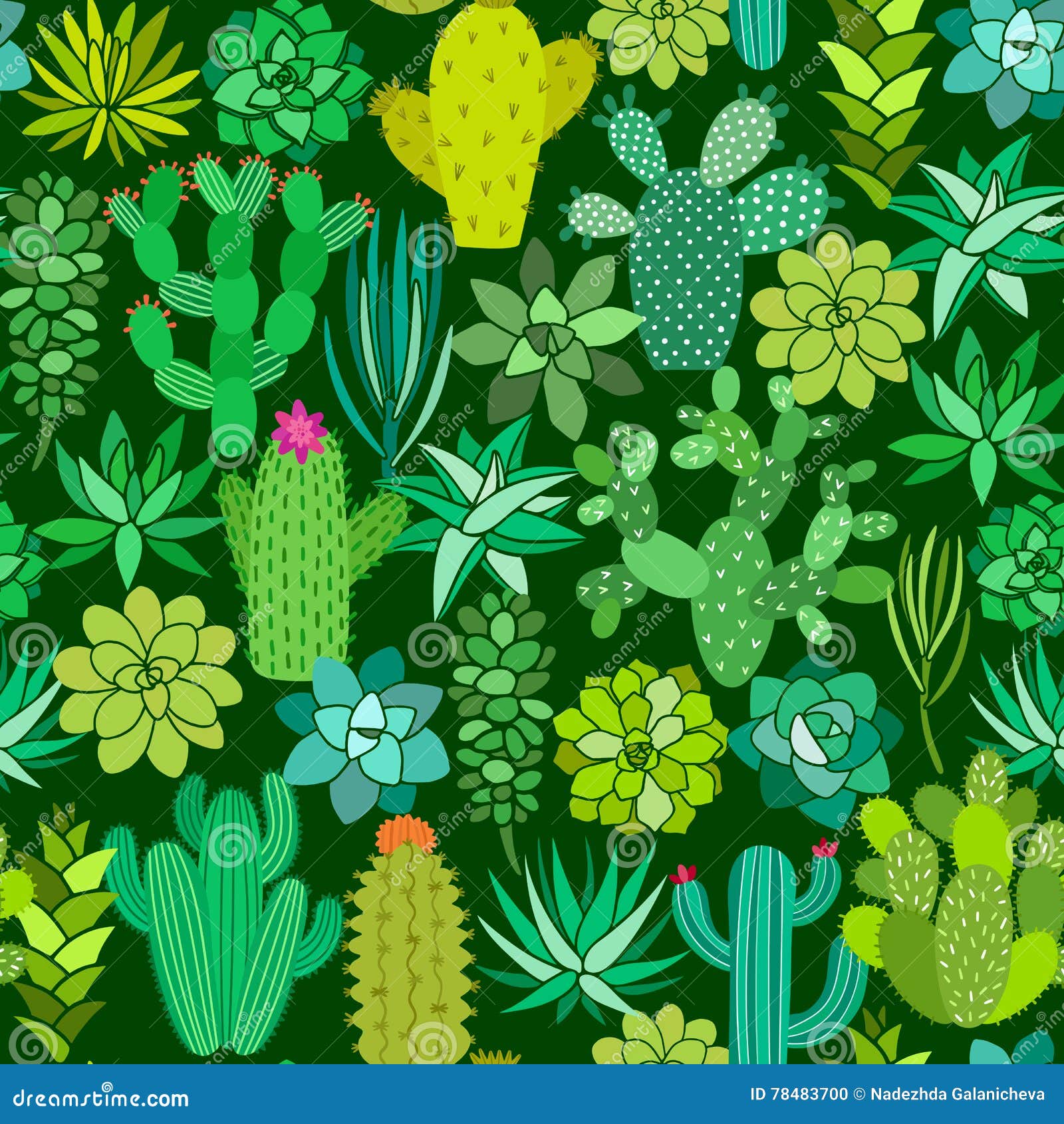 Cactus and Succulent Flower Seamless Pattern. Vector Background Stock