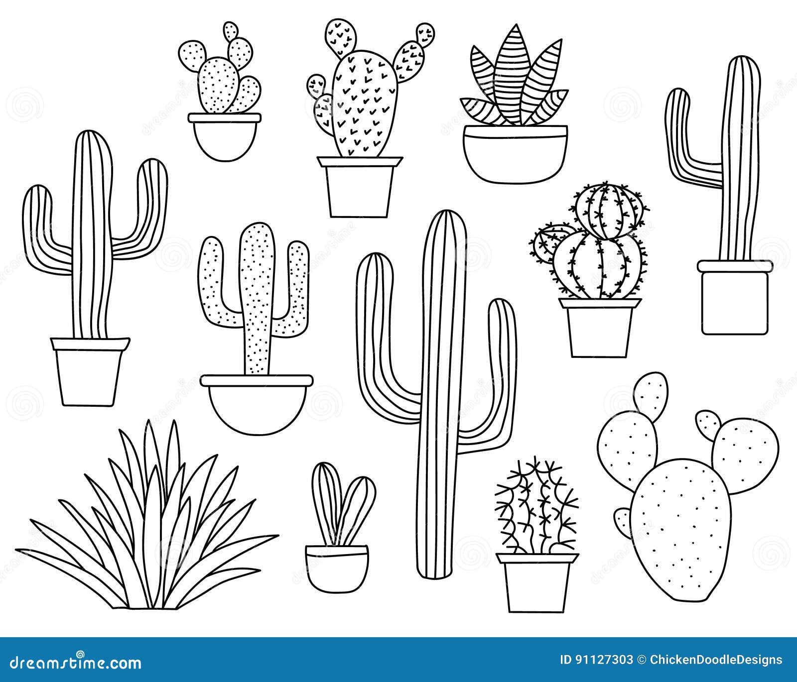 Hand Drawn Cactus Design Vector Download