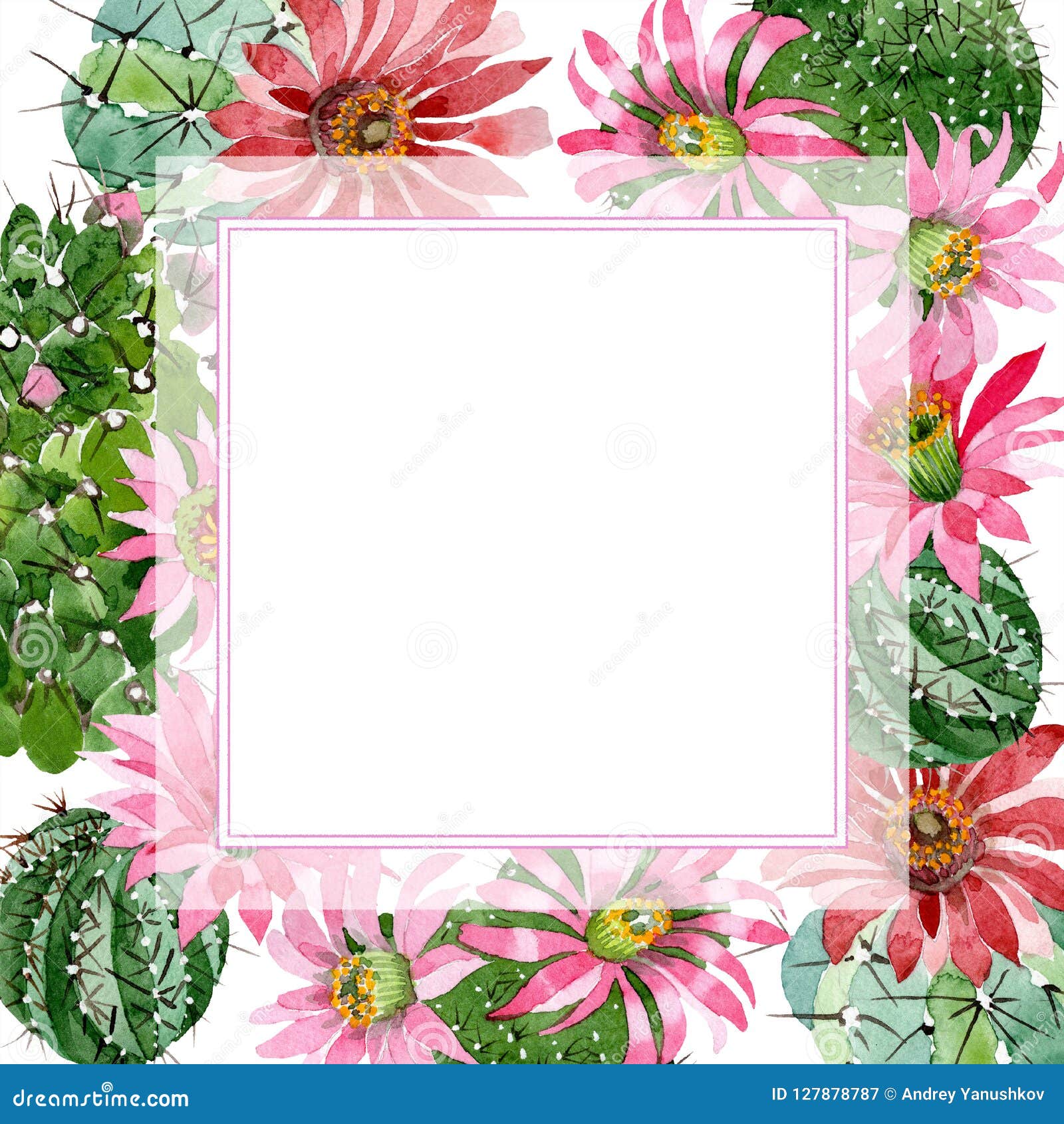 Cactus Vert Daquarelle Avec Une Fleur Rose Fleur Botanique