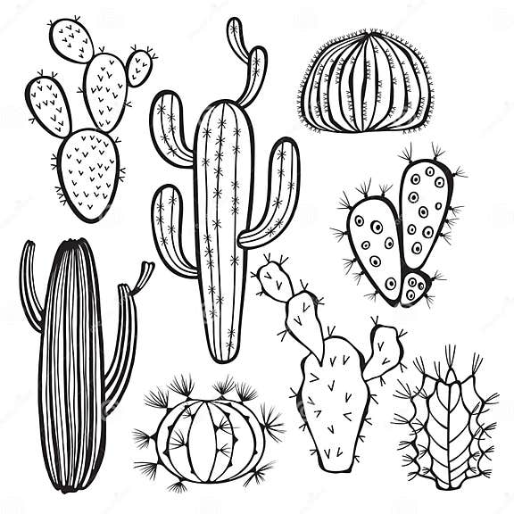 Cactus on White Background. Vector, Hand Drawn Set Ill Stock ...