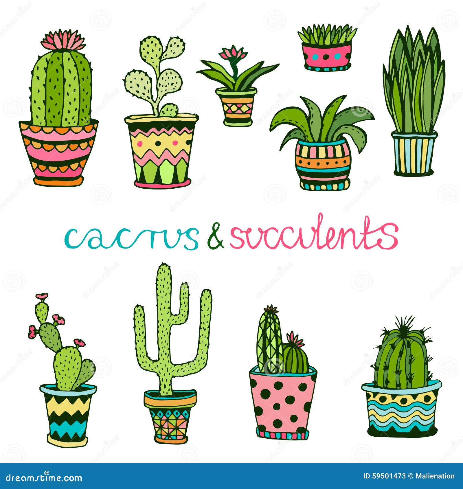 cactuse succulent hand drawn set doodle florals pots vector colorful cute interior plants actuse house 59501473