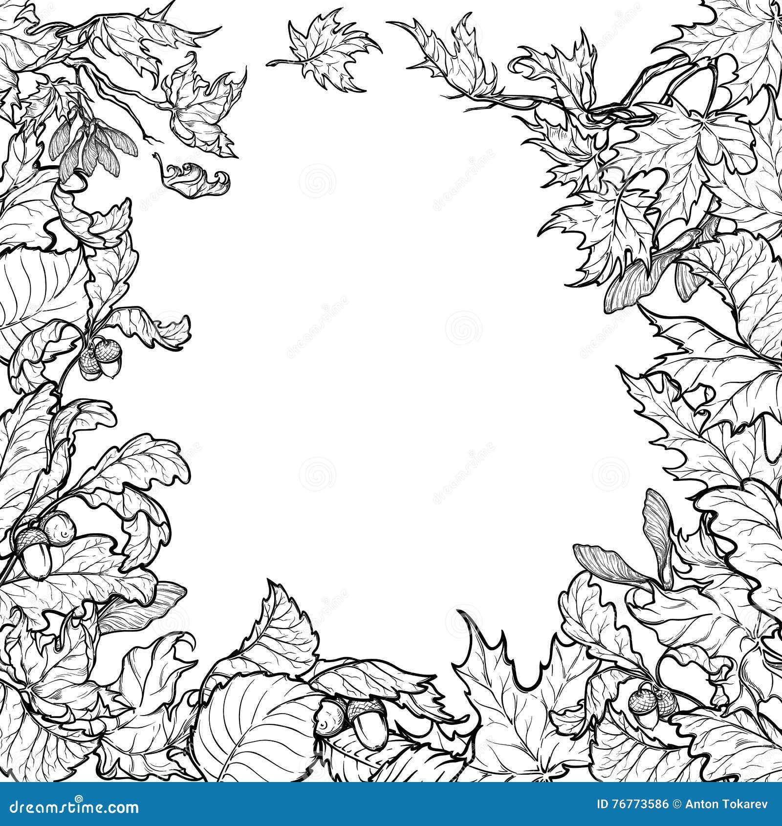 Cadre Carré De Feuilles Dautomne Croquis Noir Et Blanc
