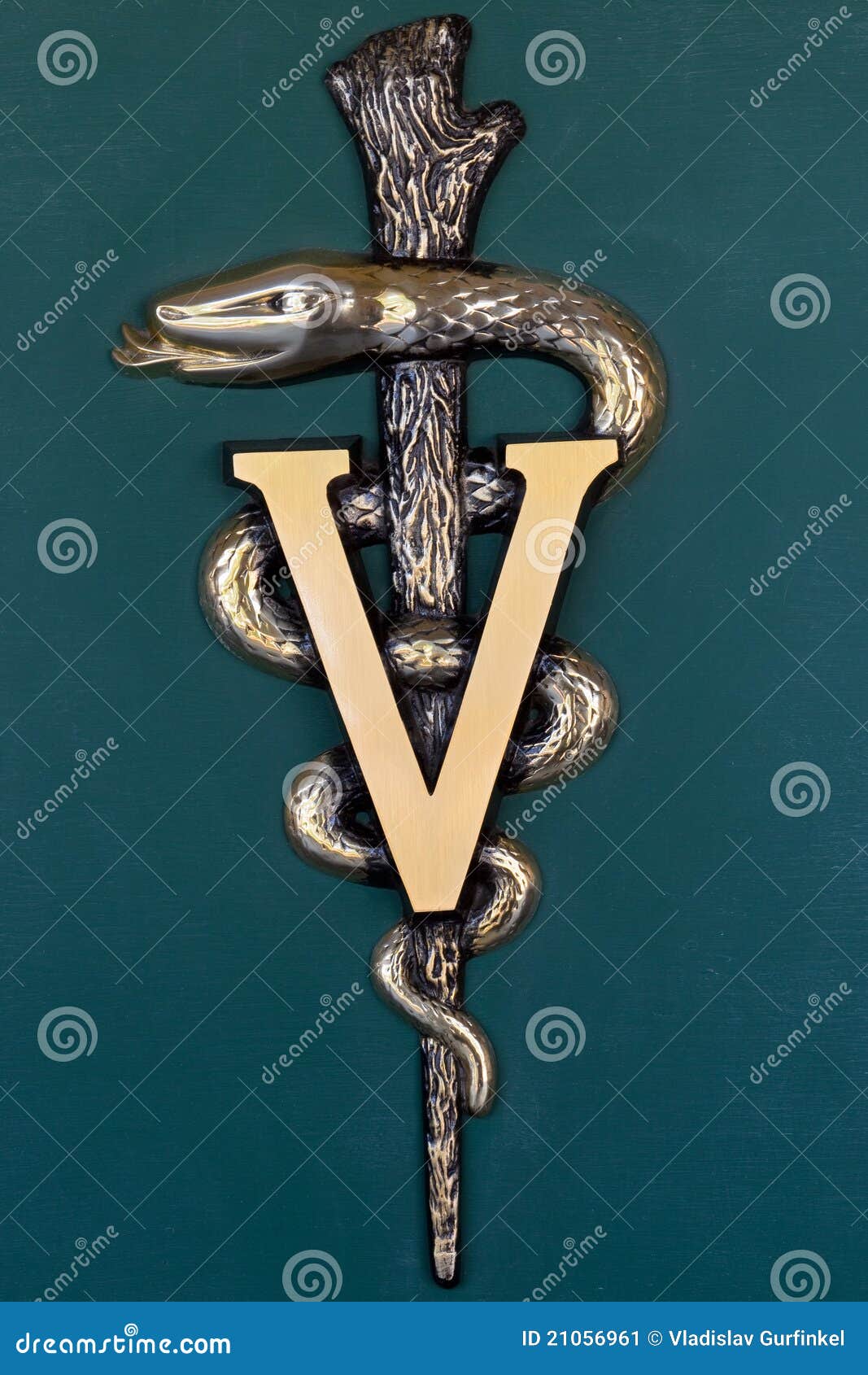 Veterinary Medicine Caduceus Svg