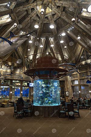 Are Dogs Allowed In Bass Pro Memphis