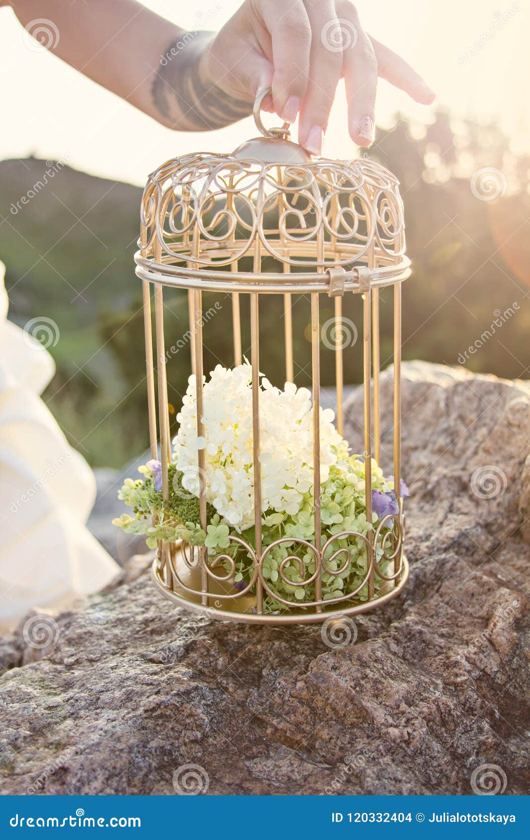 Cage For Birds With Flowers Decor Stock Photo Image Of