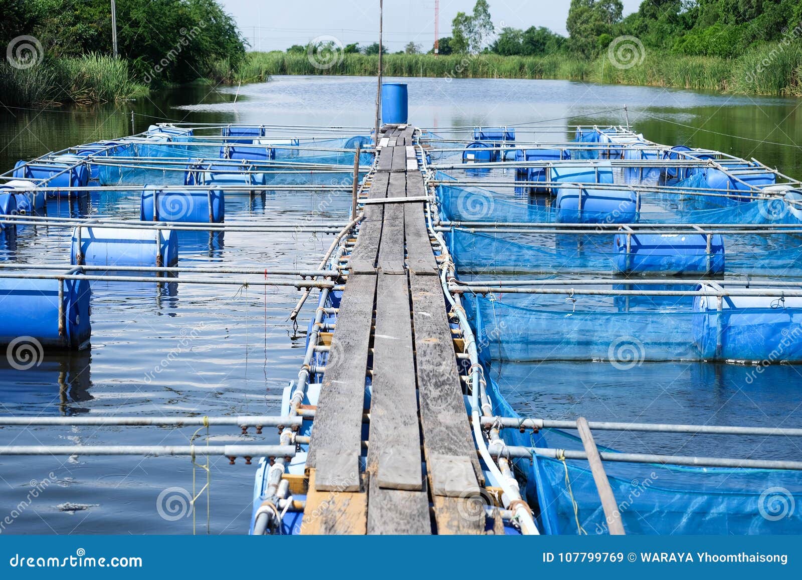 Cages for Fish Farm, Aquaculture in Thailand Stock Image - Image