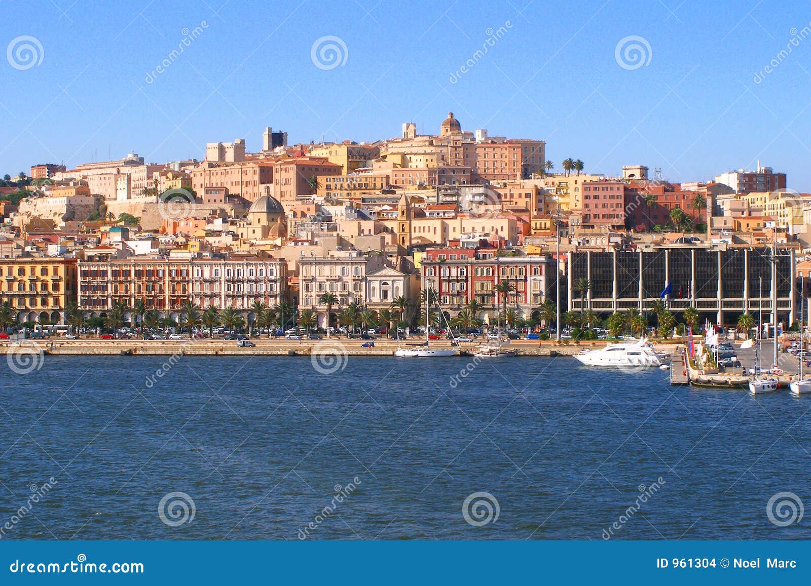 PDF) Socio-economic impact of cystic echinococcosis and of its control:  some data and considerations, image size:1600x1157