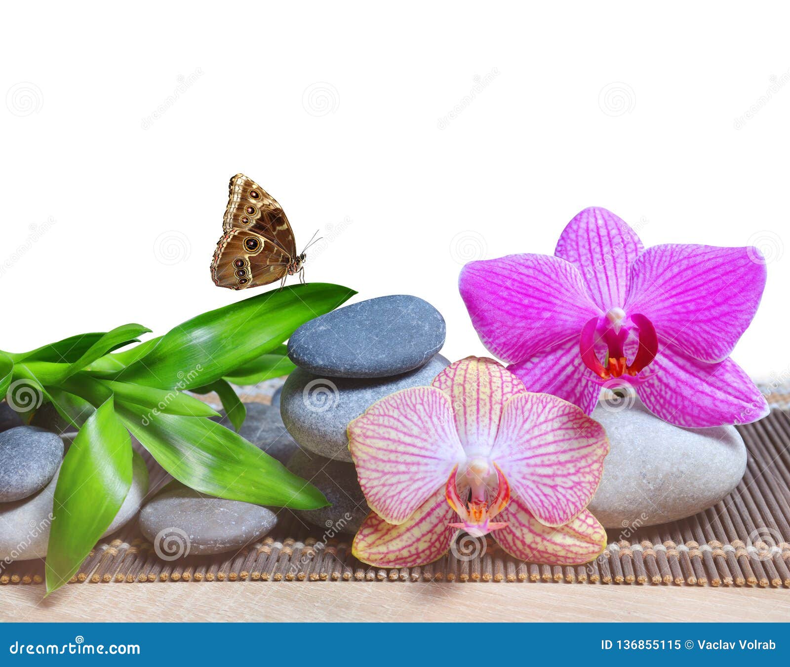Cailloux De Zen Avec Les Feuilles Et Les Fleurs En Bambou D Orchidee Sur Le Fond Blanc Image Stock Image Du Blanc Orchidee