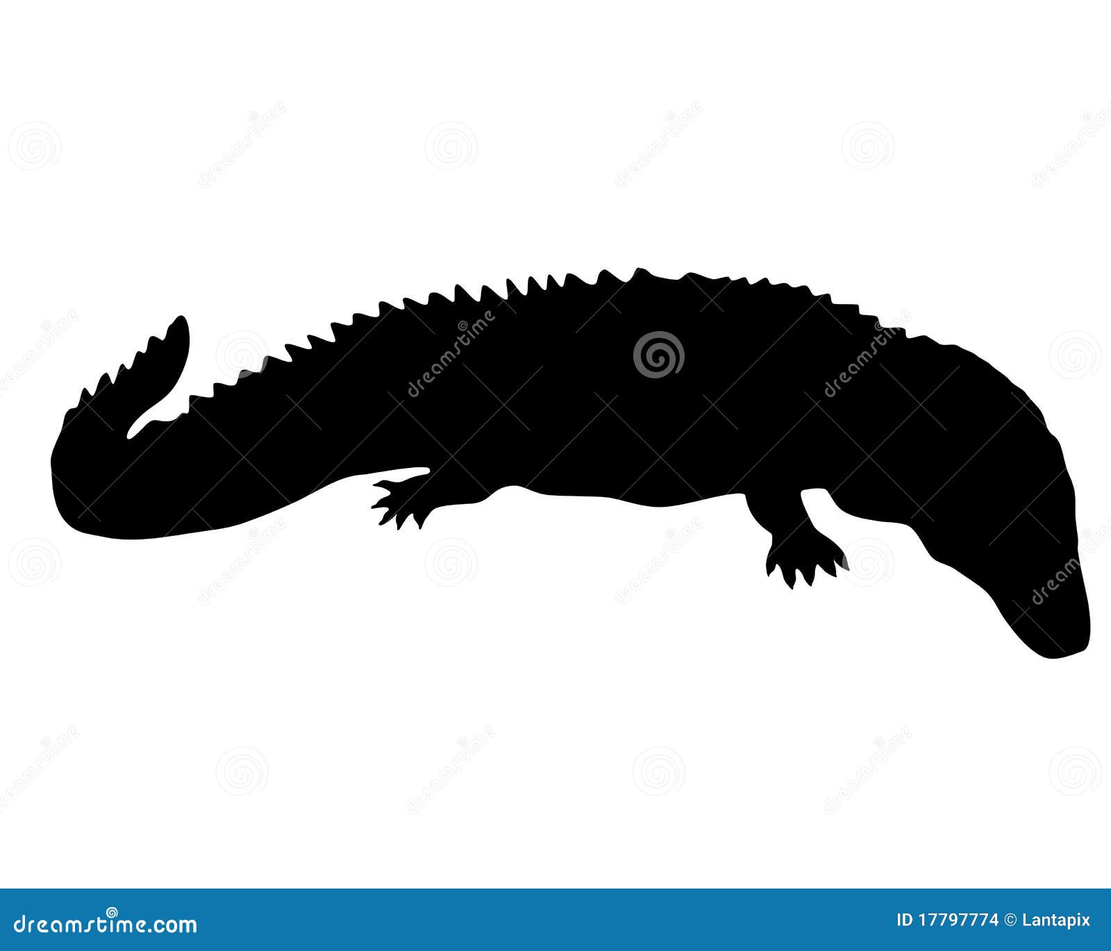 Caiman Royalty-Free Stock Image | CartoonDealer.com #60155626