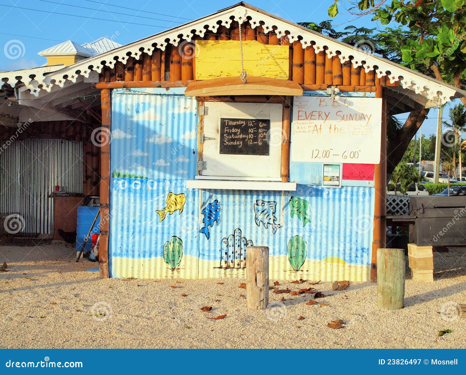 Caimán Magnífico Del Café De Cayman Islands Imagen de archivo Imagen