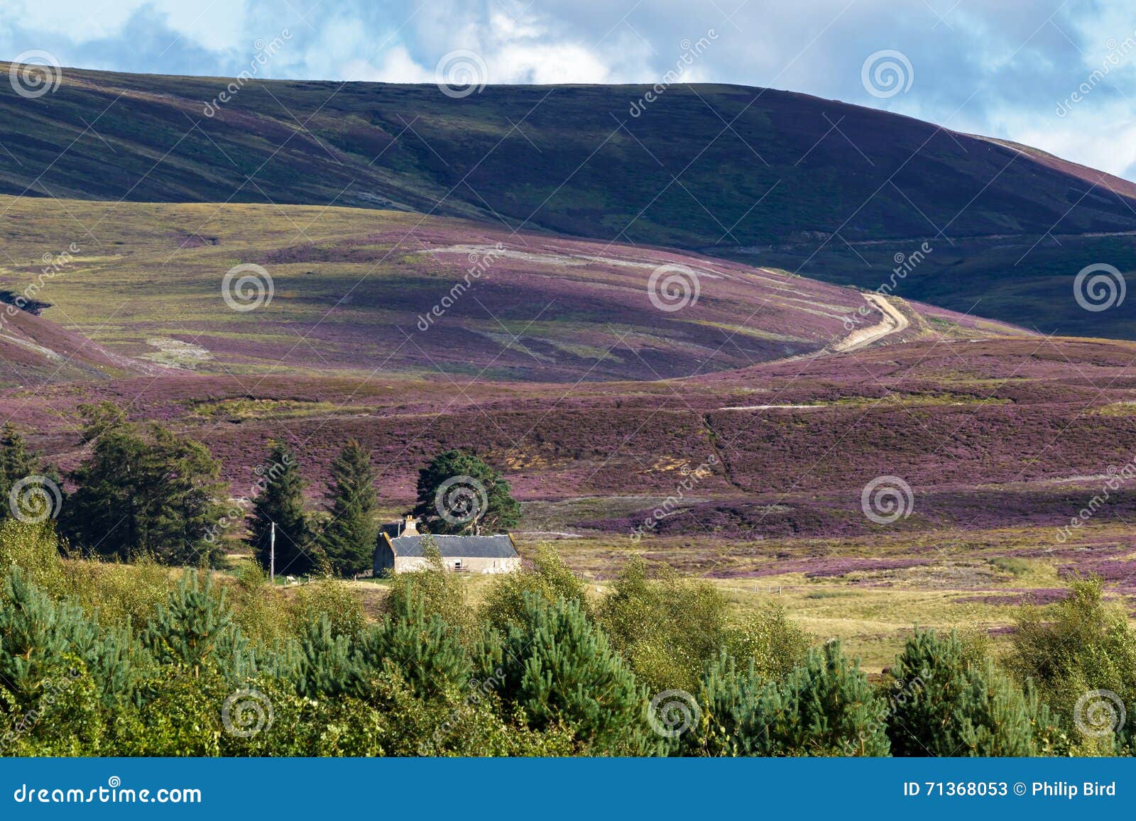CAIRNGORMS, BADENOCH E STRATHSPEY/SCOTLAND 26 Agosto Camera Immagine