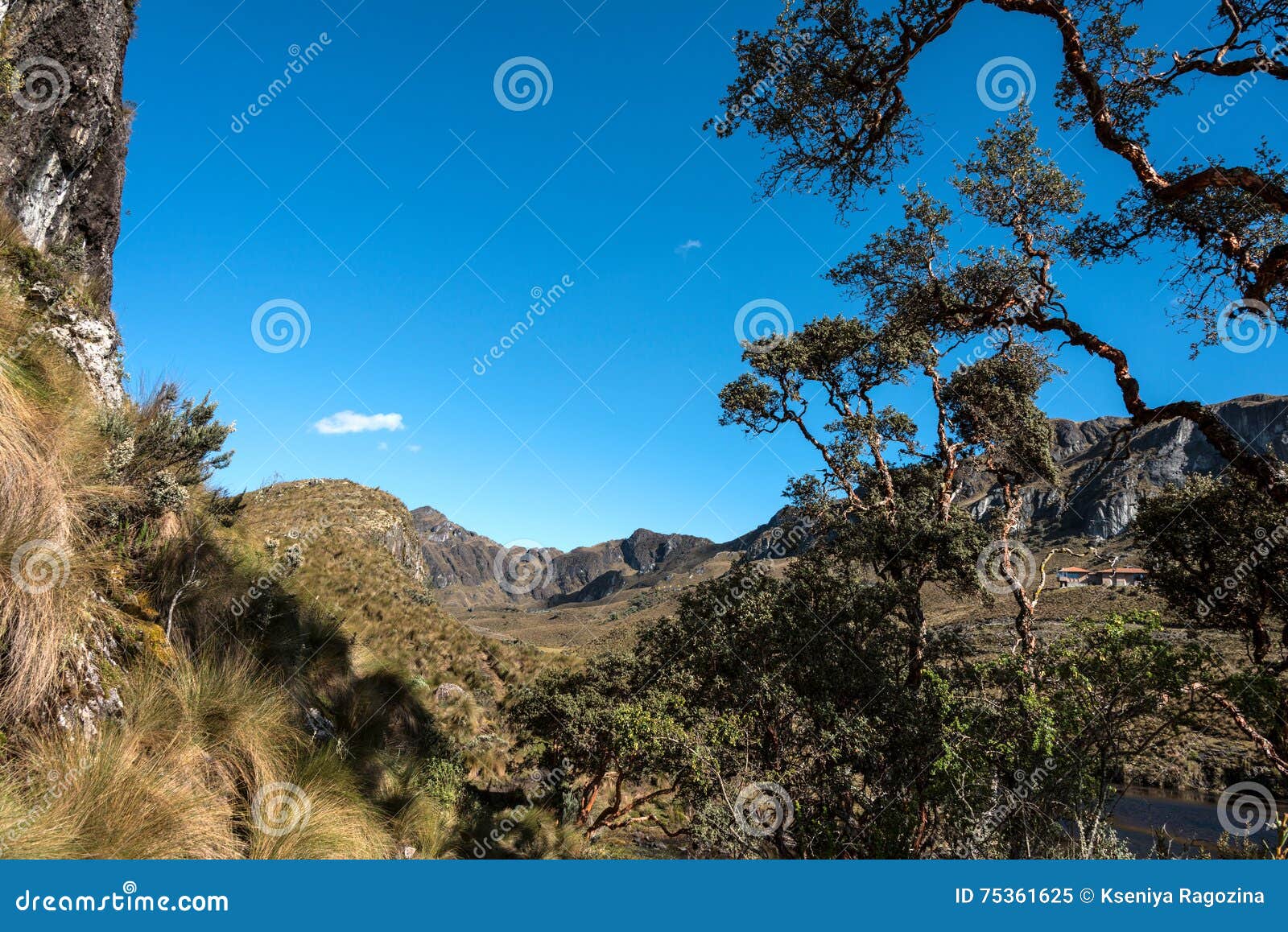 Cajas National Park, Andean Highlands, Ecuador Stock Image Image of