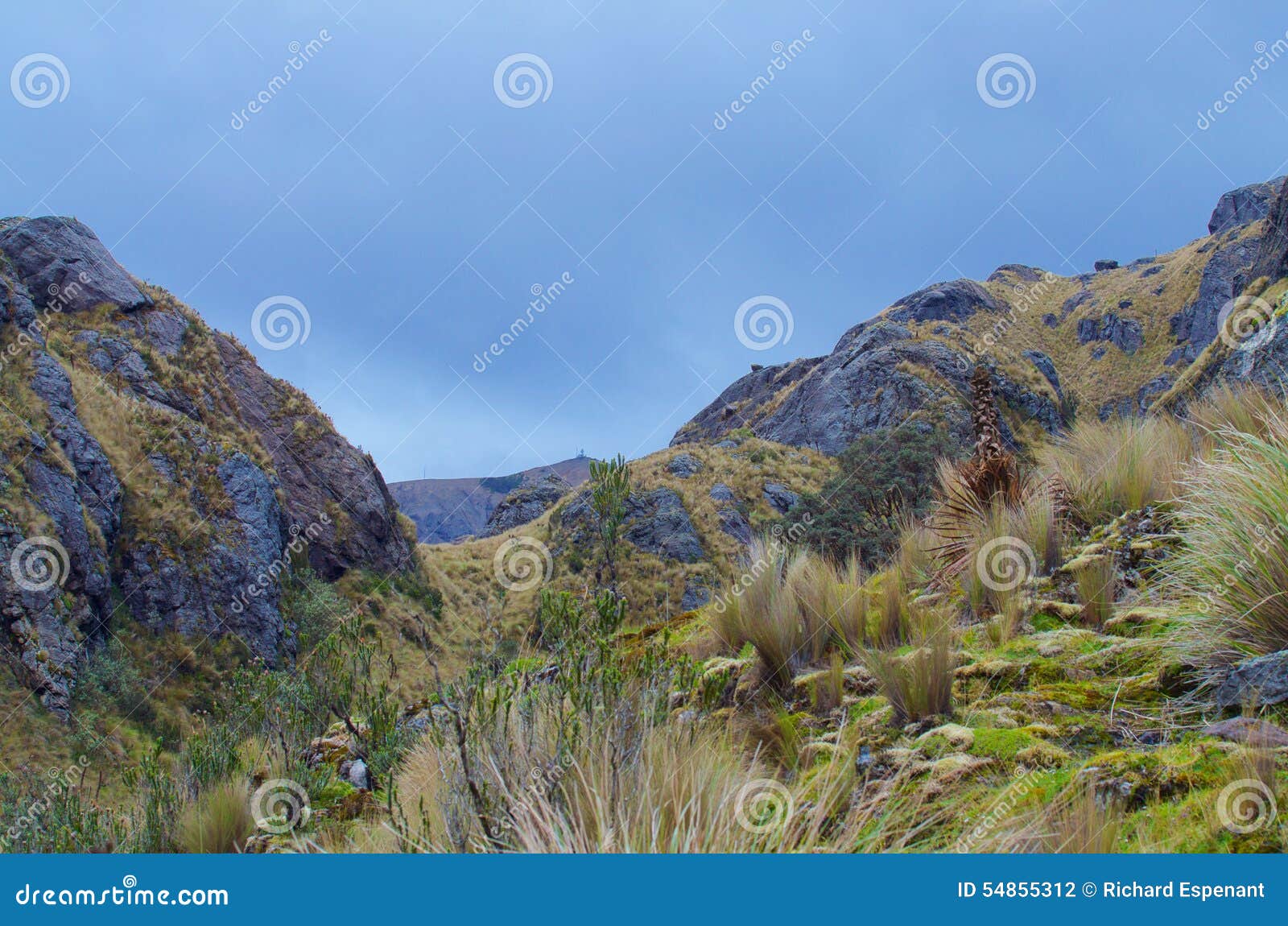 cajas national park