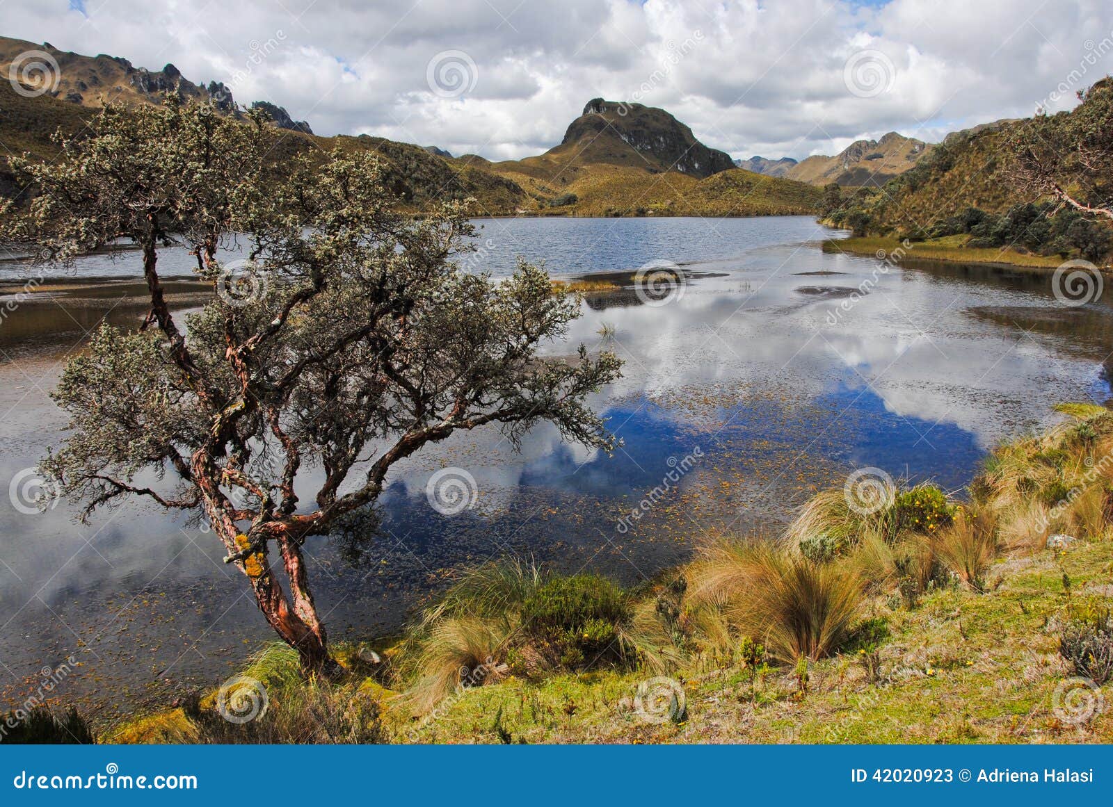 cajas national park