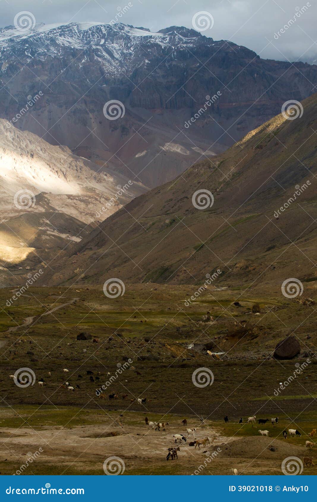 Cajon del Maipo, Chile foto de archivo. Imagen de fresco 39021018