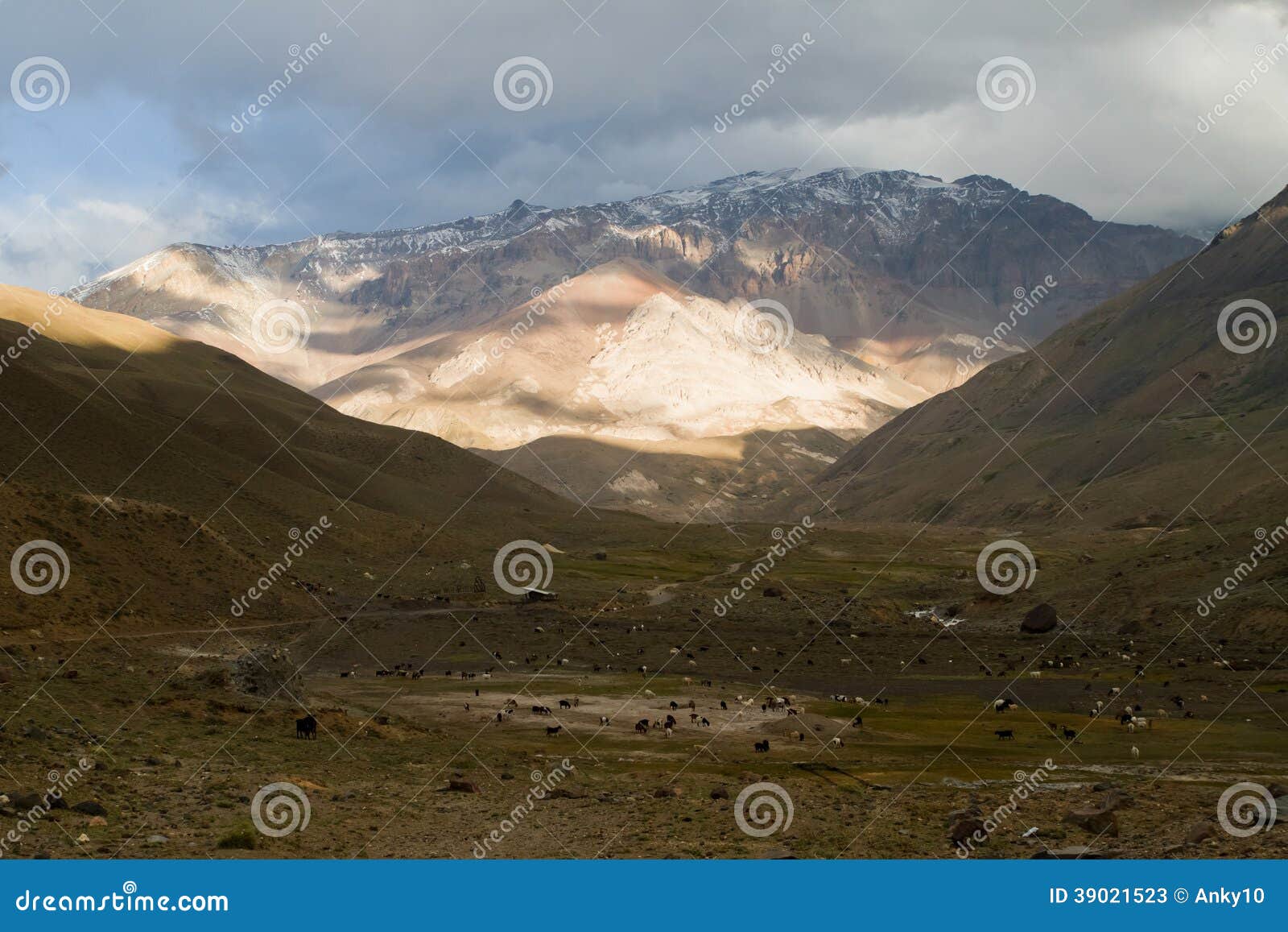 Cajon del Maipo, Chili image stock. Image du panorama 39021523