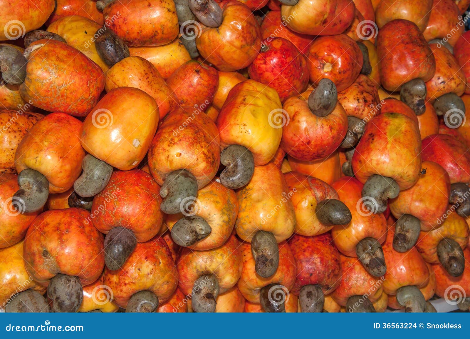 caju fruit caju fruit