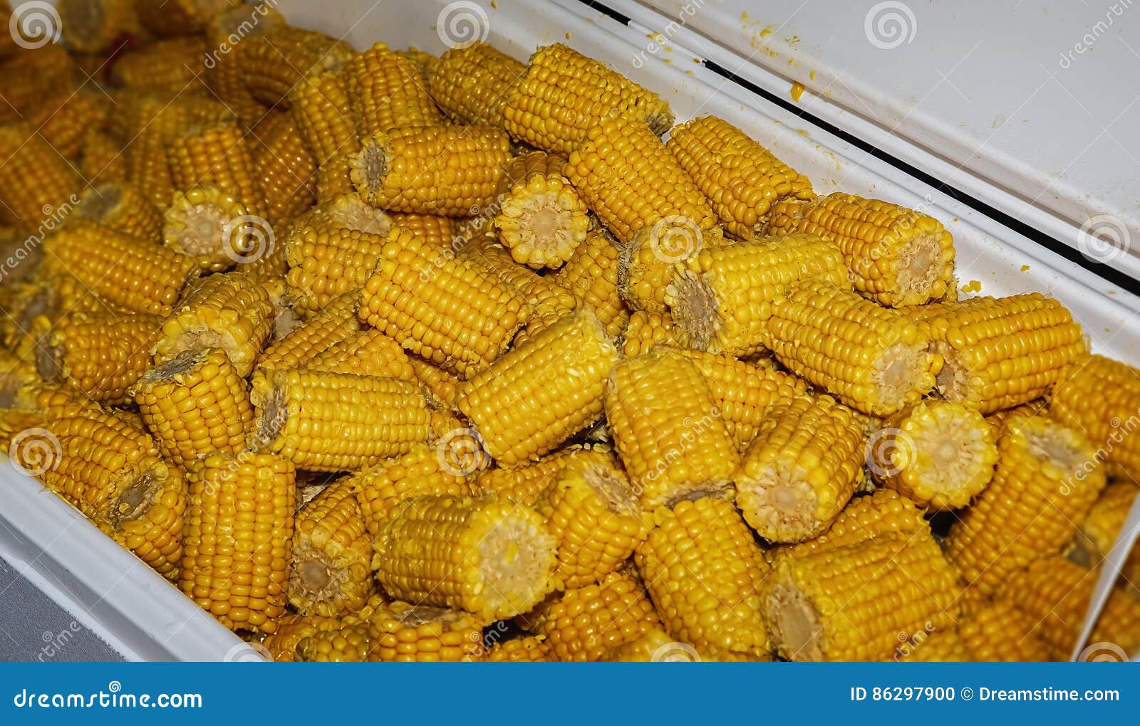Cajun Corn Boil at a Crawfish Boil Stock Photo Image of vegatable, boil 86297900