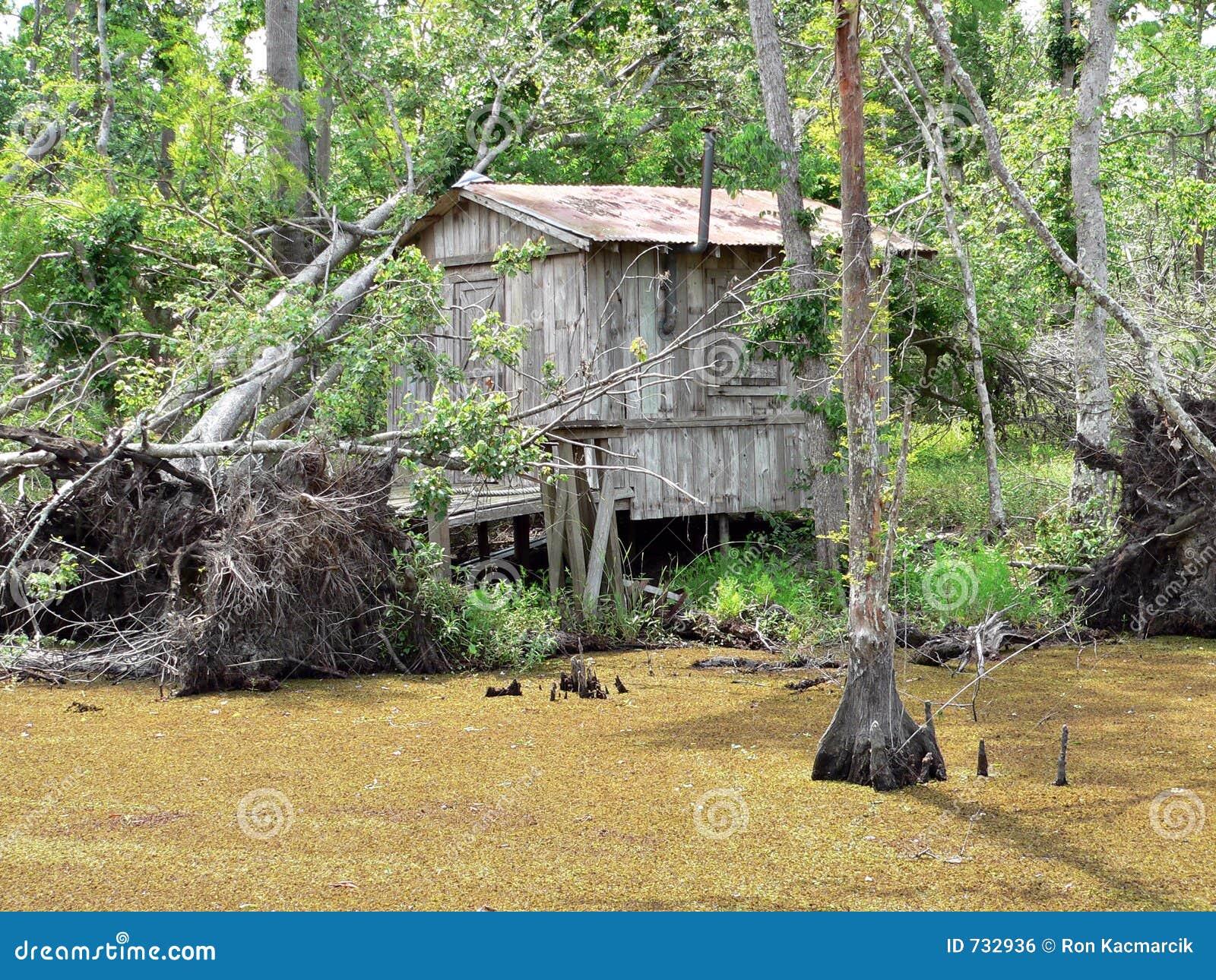 Cajun Fishing Shack stock photo. Image of cabin, creole - 732936