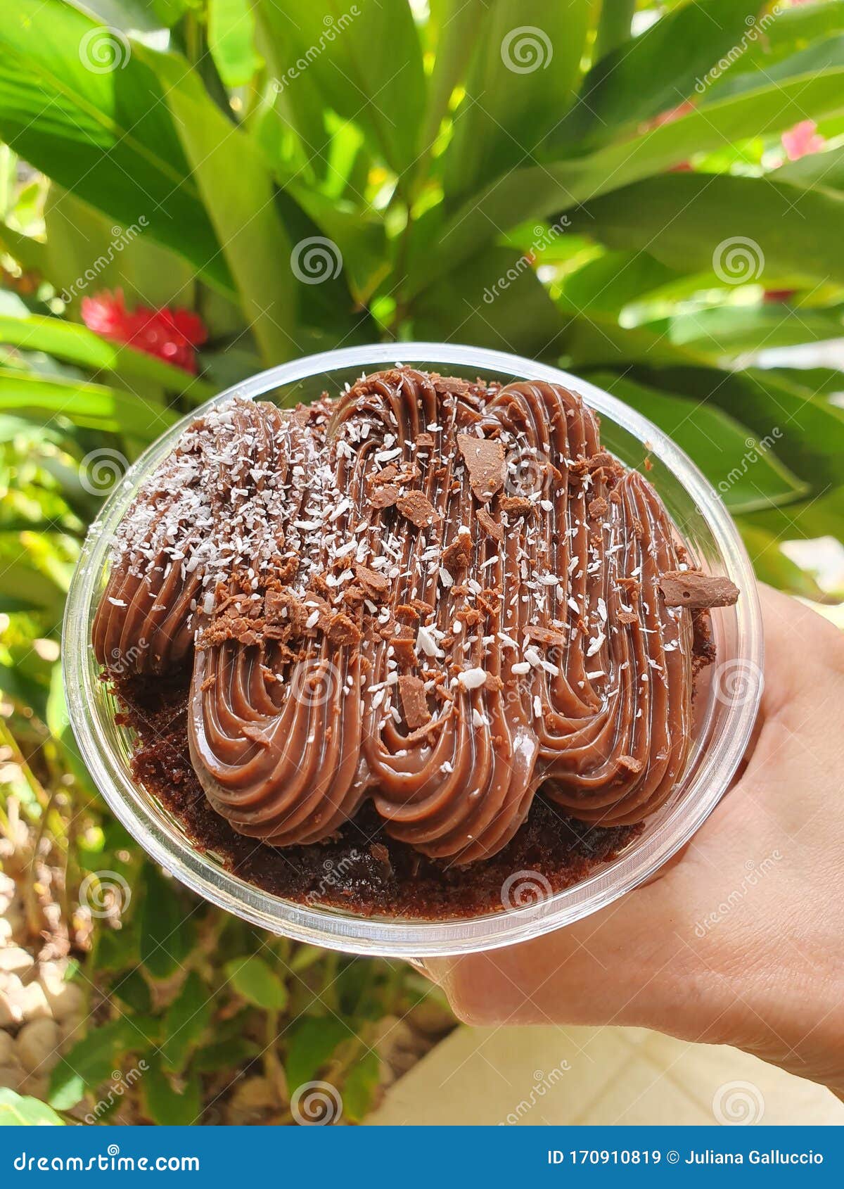 cake chocolate coco pote