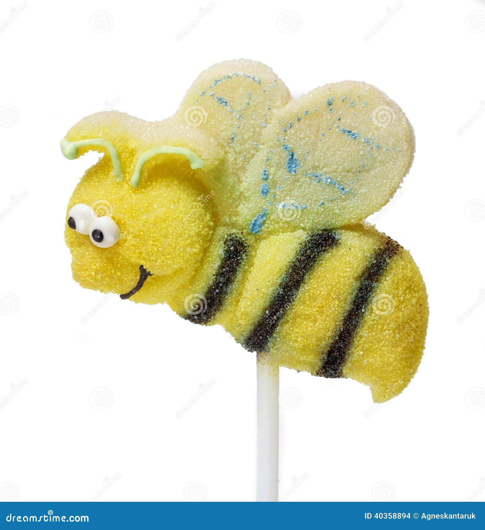 10 764 Bee Shape Photos Free Royalty Free Stock Photos From Dreamstime 10 764 Bee Shape Photos Free Royalty Free Stock Photos From Dreamstime