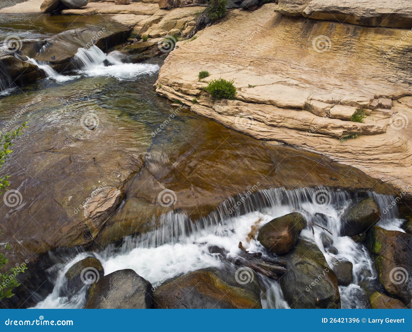 Cala del roble en parque de estado de la roca de la diapositiva. Cala del roble que se ejecuta a través del parque de estado de la roca de la diapositiva cerca de Sedona, Arizona