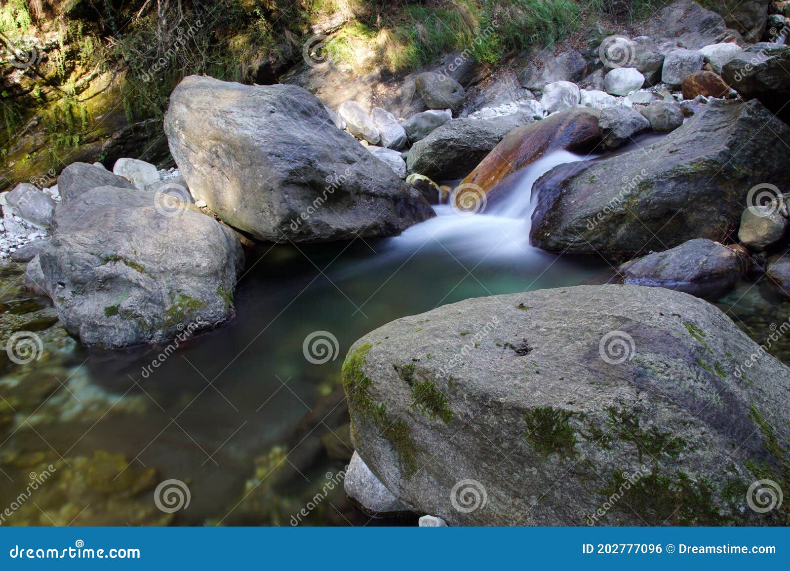 Cala En El Bosque Con Rocas Foto de archivo Imagen de recorrido, cala