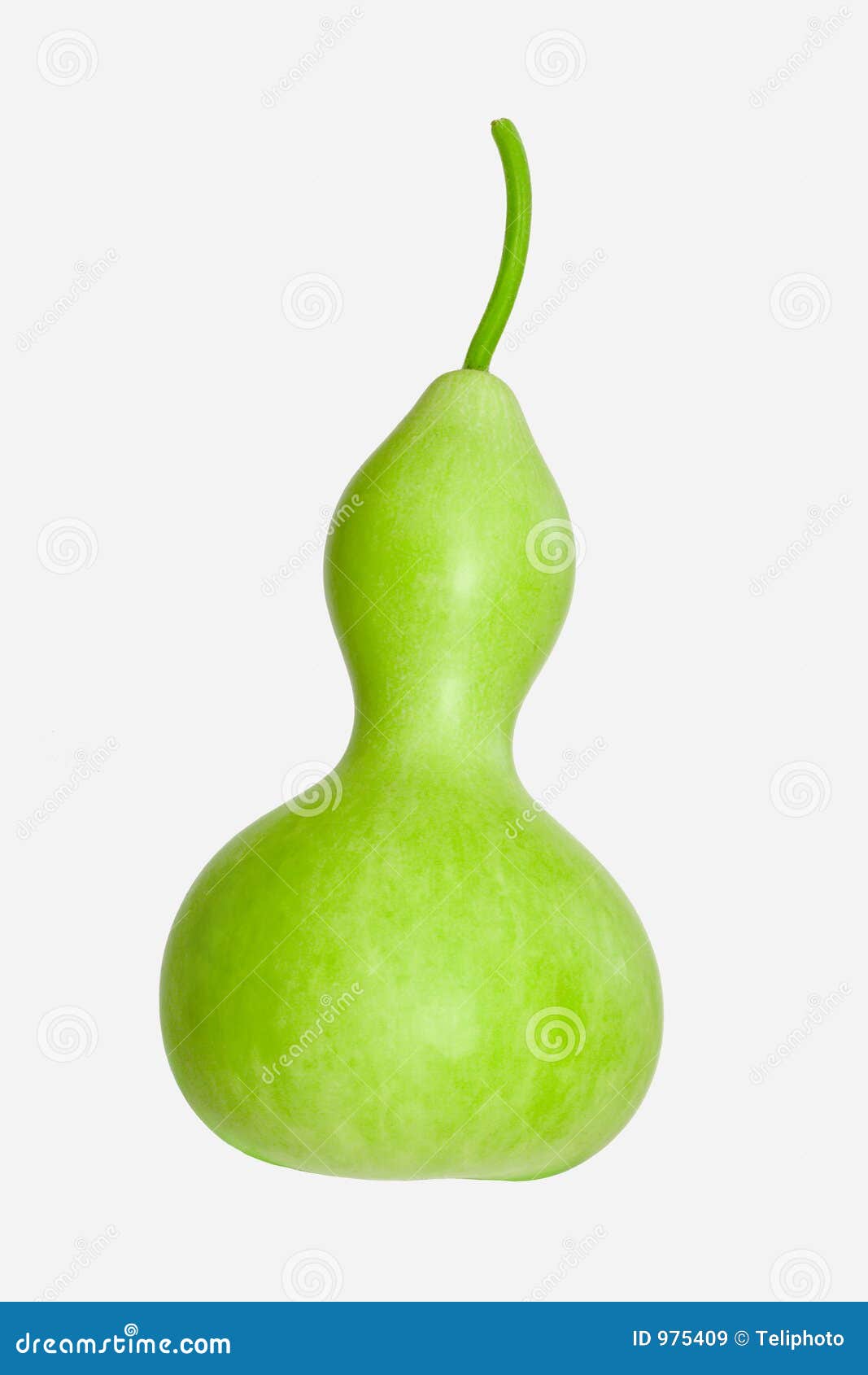 Calabash Bottle Gourd stock image. Image of morro, hawaiian 975409