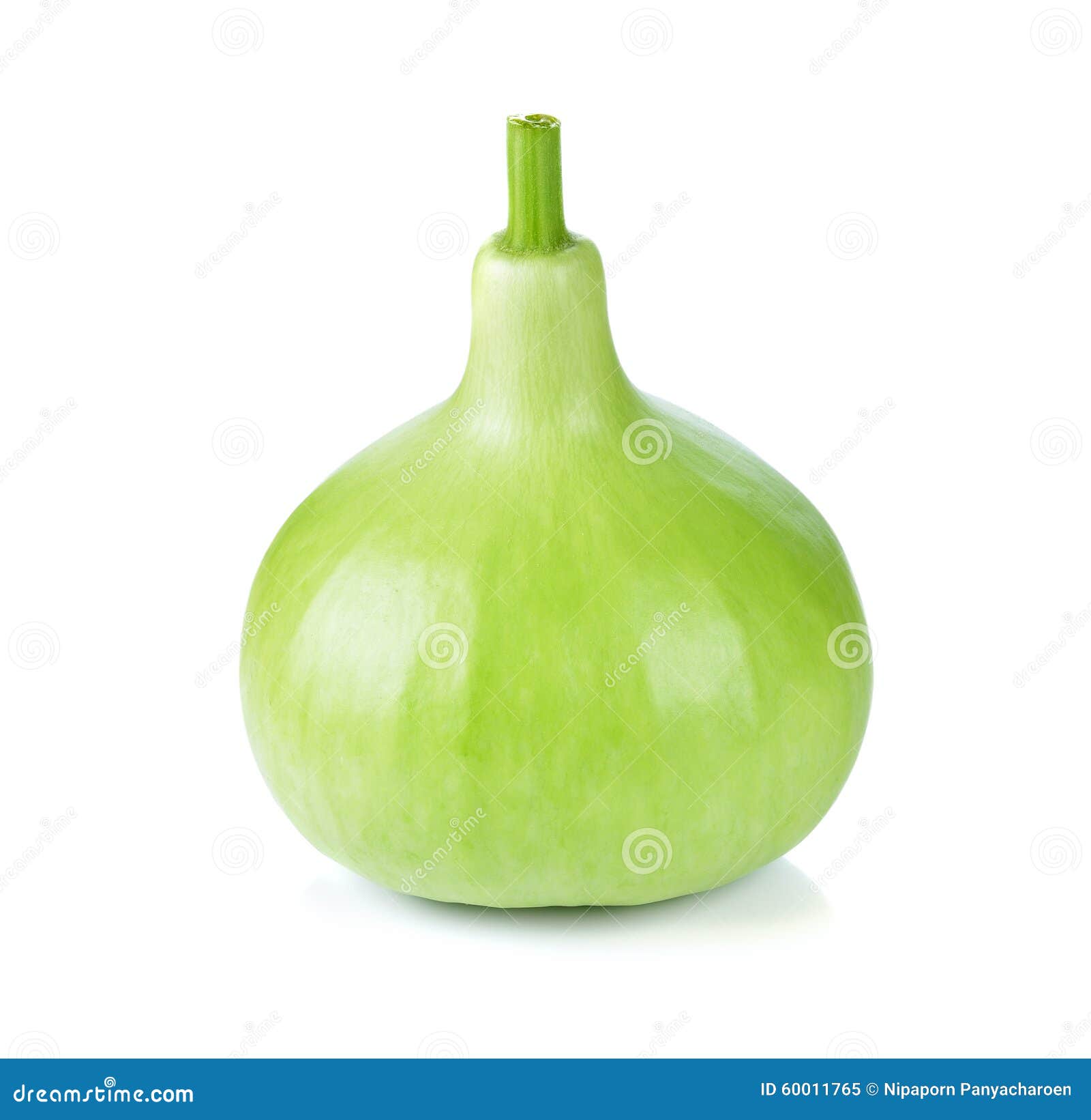 Calabash, Bottle Gourd stock image. Image of health, autumn 60011765