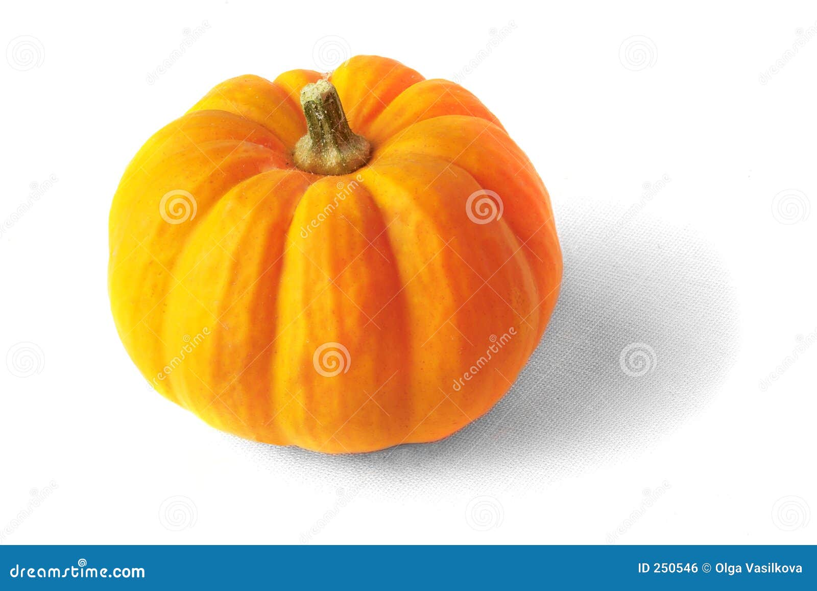 Calabaza anaranjada foto de archivo. Imagen de color, cosecha 250546