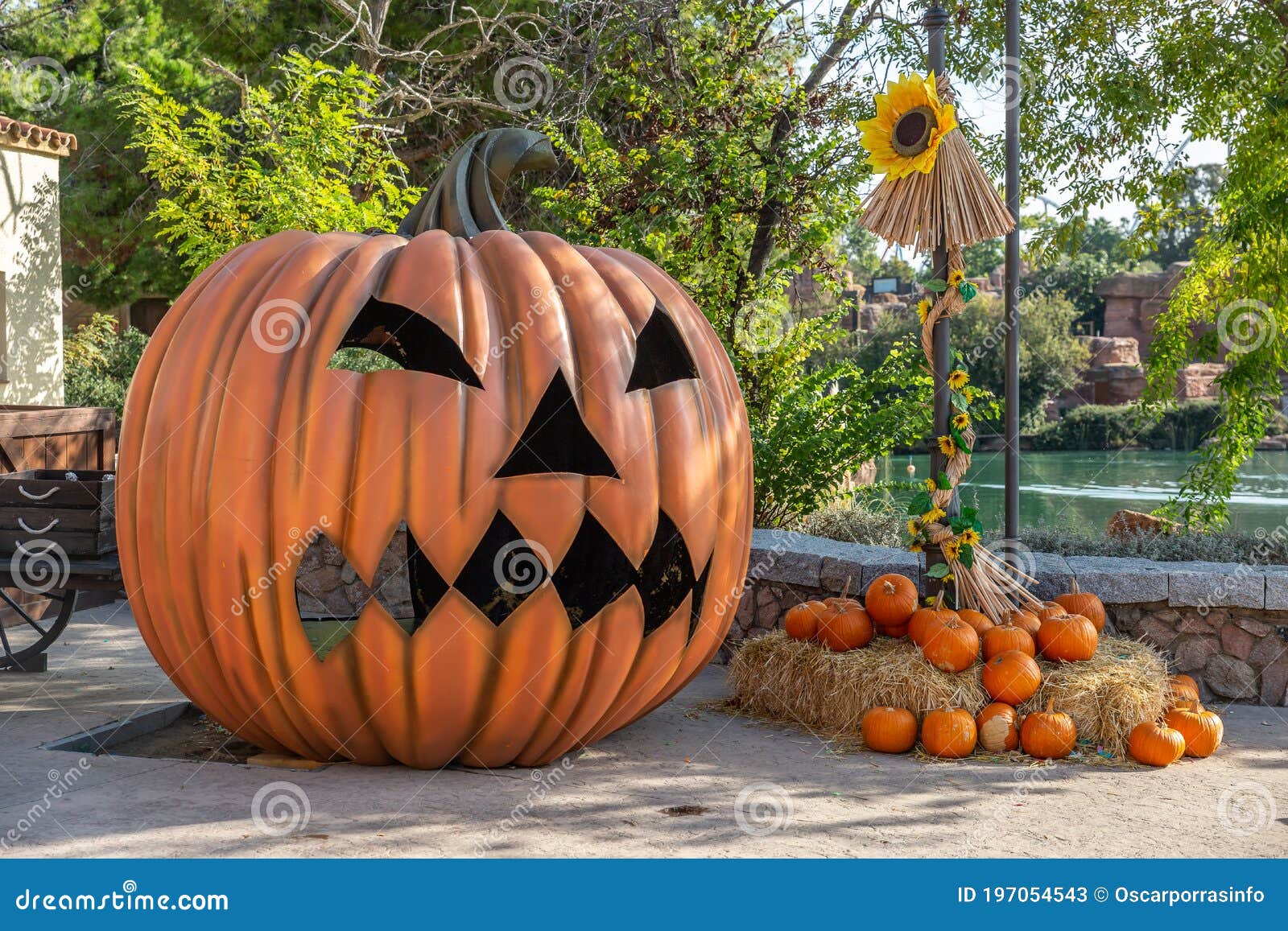 Calabaza Gigante De Halloween Con Ojos Boca Y Nariz Al Lado De Calabazas Pequeñas Imagen de archivo - Imagen de preparado, listo: 197054543 Calabaza Gigante De Halloween Con Ojos Boca Y Nariz Al Lado De Calabazas Pequeñas Imagen de archivo - Imagen de preparado, listo: 197054543