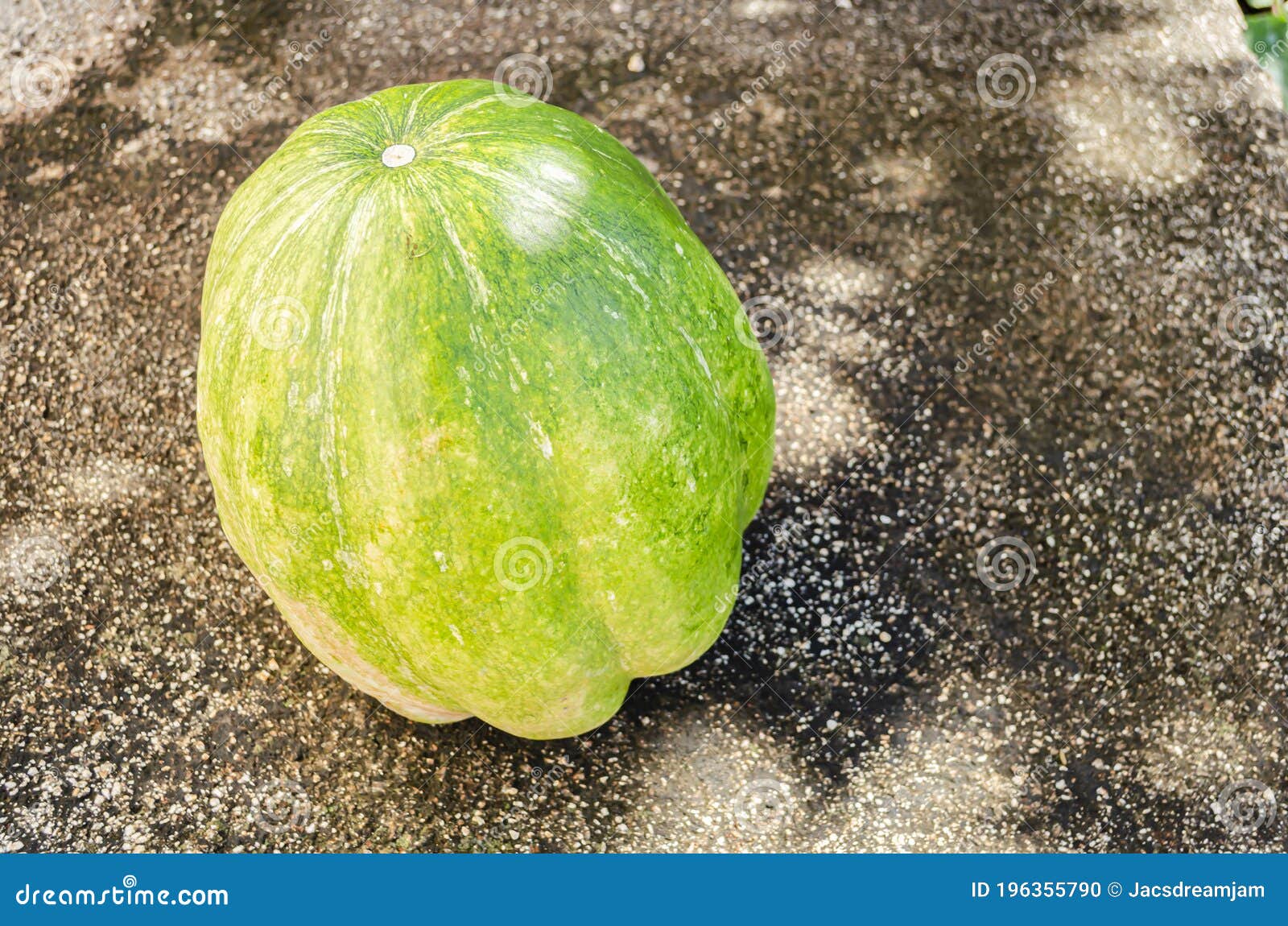 calabaza pumpkin on concrete pavement